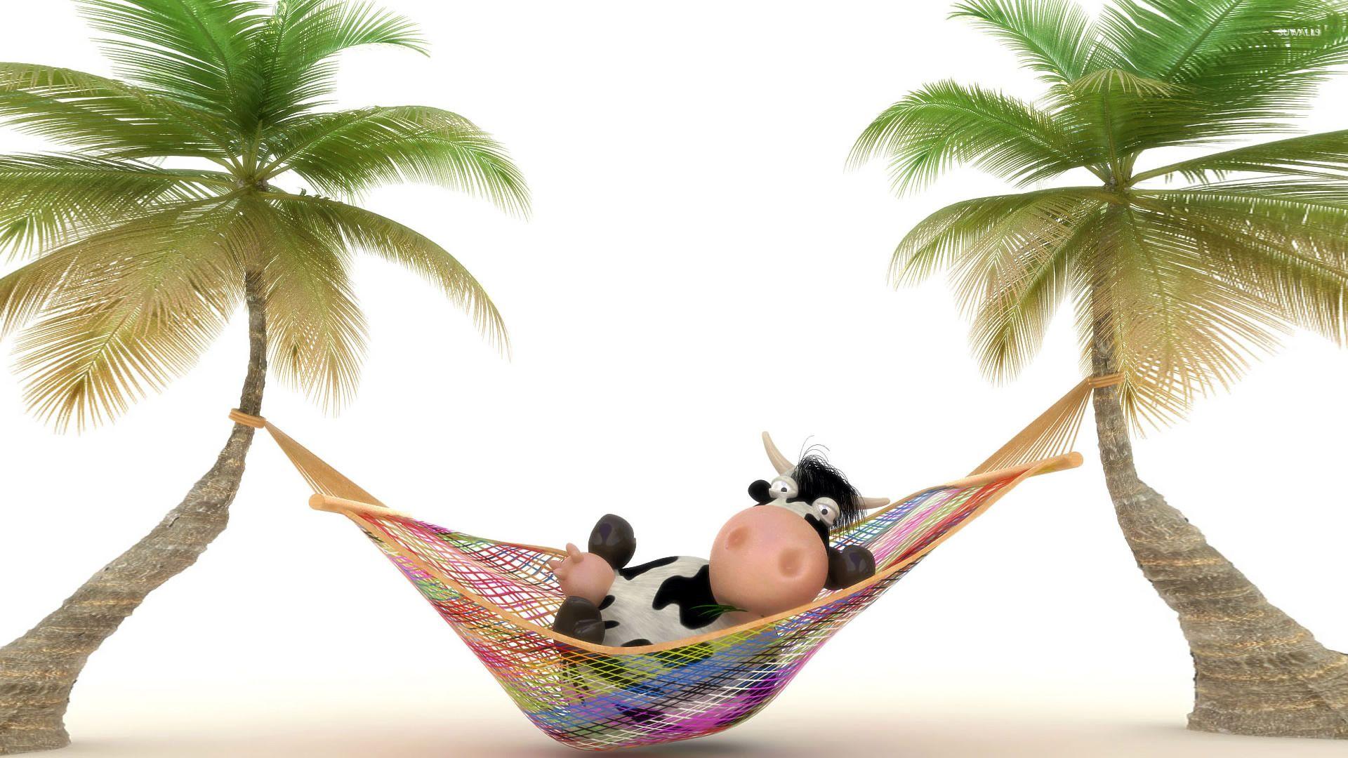 1920x1080 Cow in hammock wallpaper wallpaper