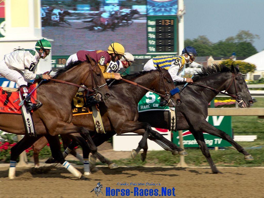 1024x768 Horse Racing Wallpaper