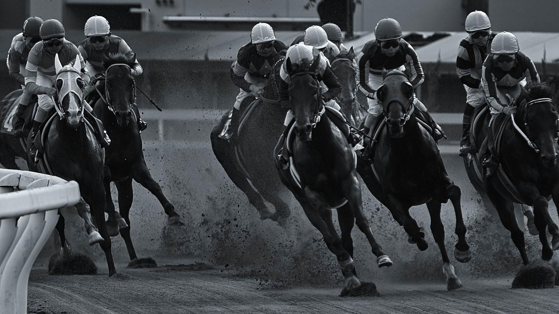 1920x1080 Black And White Horse Racing Sky Cloud Japan Aichi 1920x1080 HD Horse Riding