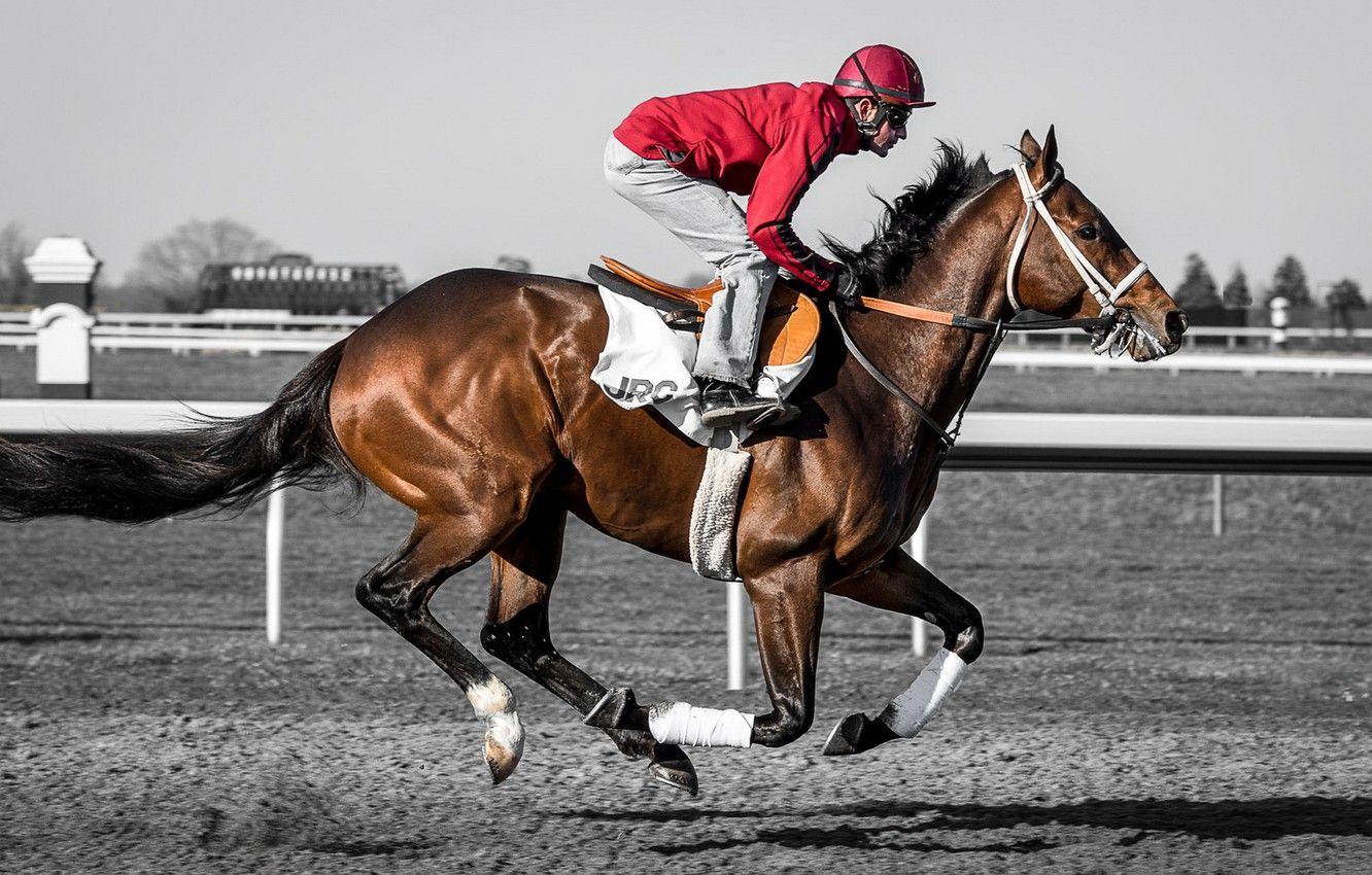 1332x850 Wallpaper race, horse, jockey image for desktop, section спорт