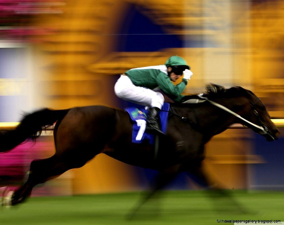 1164x921 Race Horse Wallpaper. Full HD Wallpaper