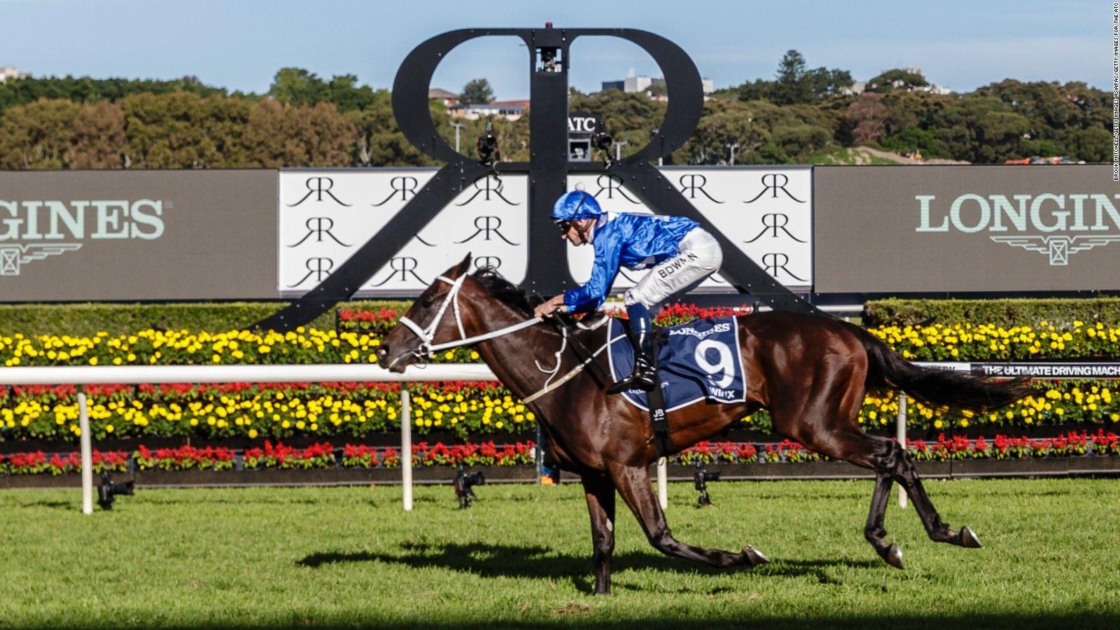 1600x900 Winx: Five factors that form the 'world's best race horse'