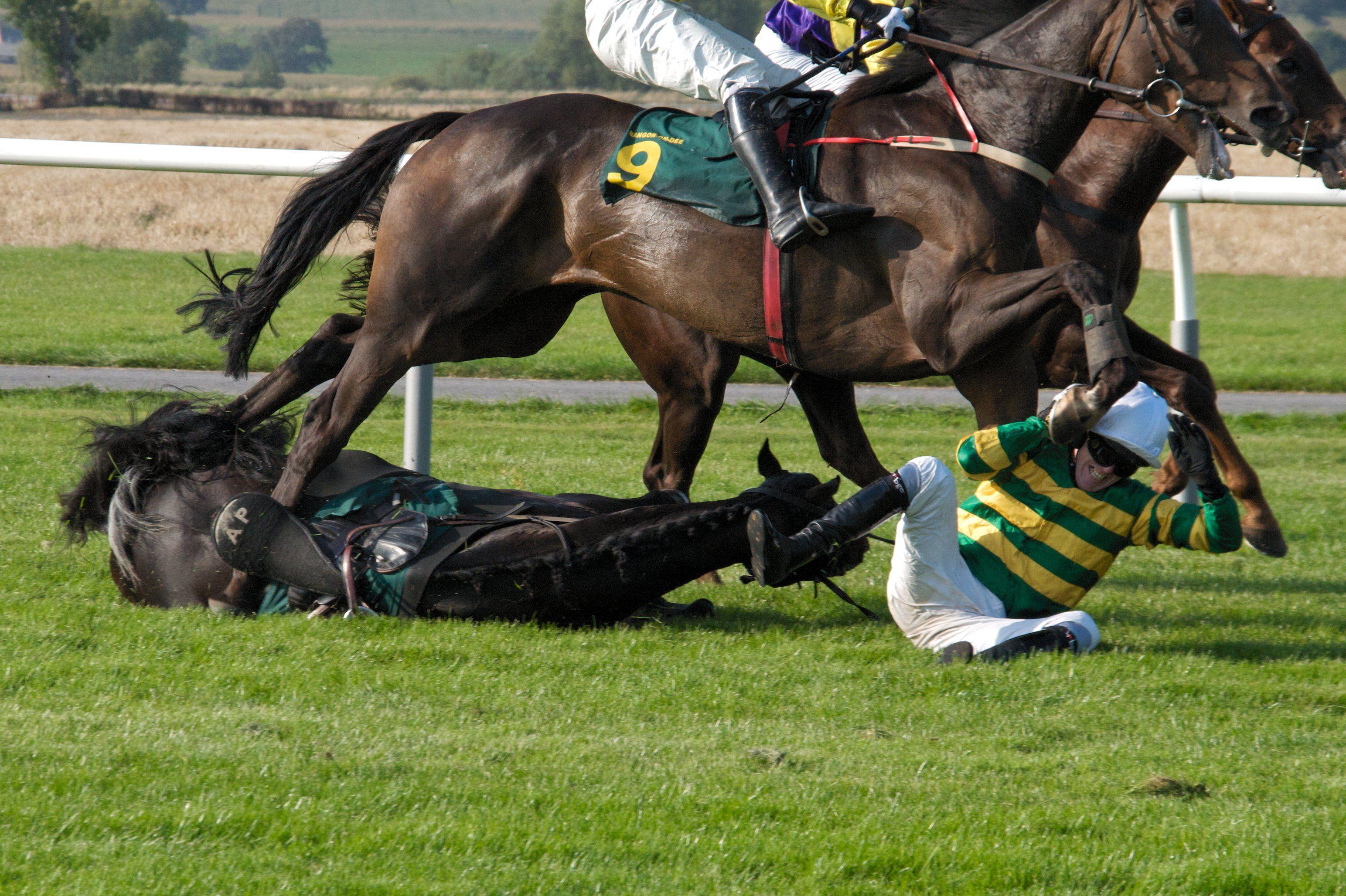 3087x2056 Race Horse Wallpaper