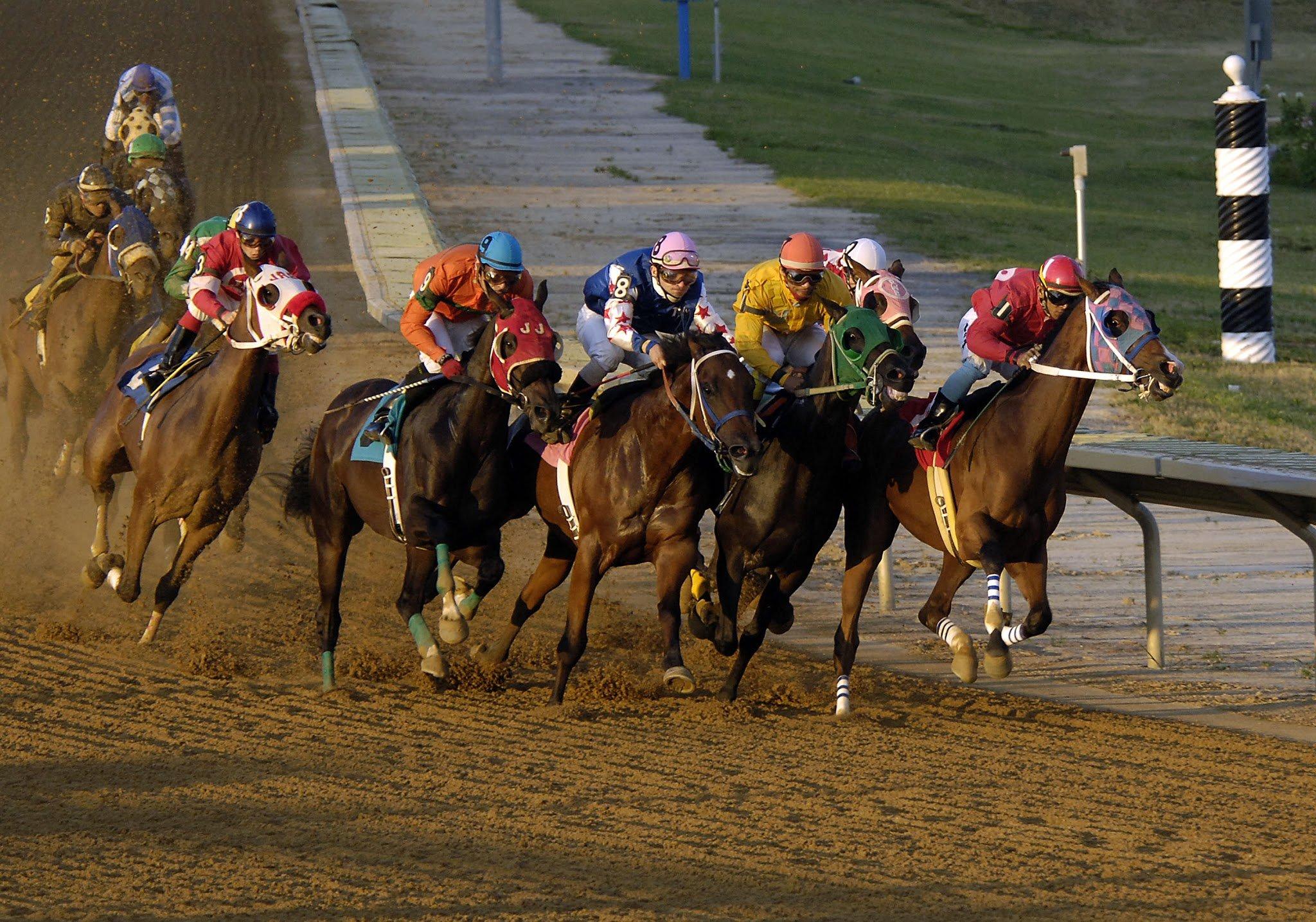 2048x1434 Horse Racing Wallpaper