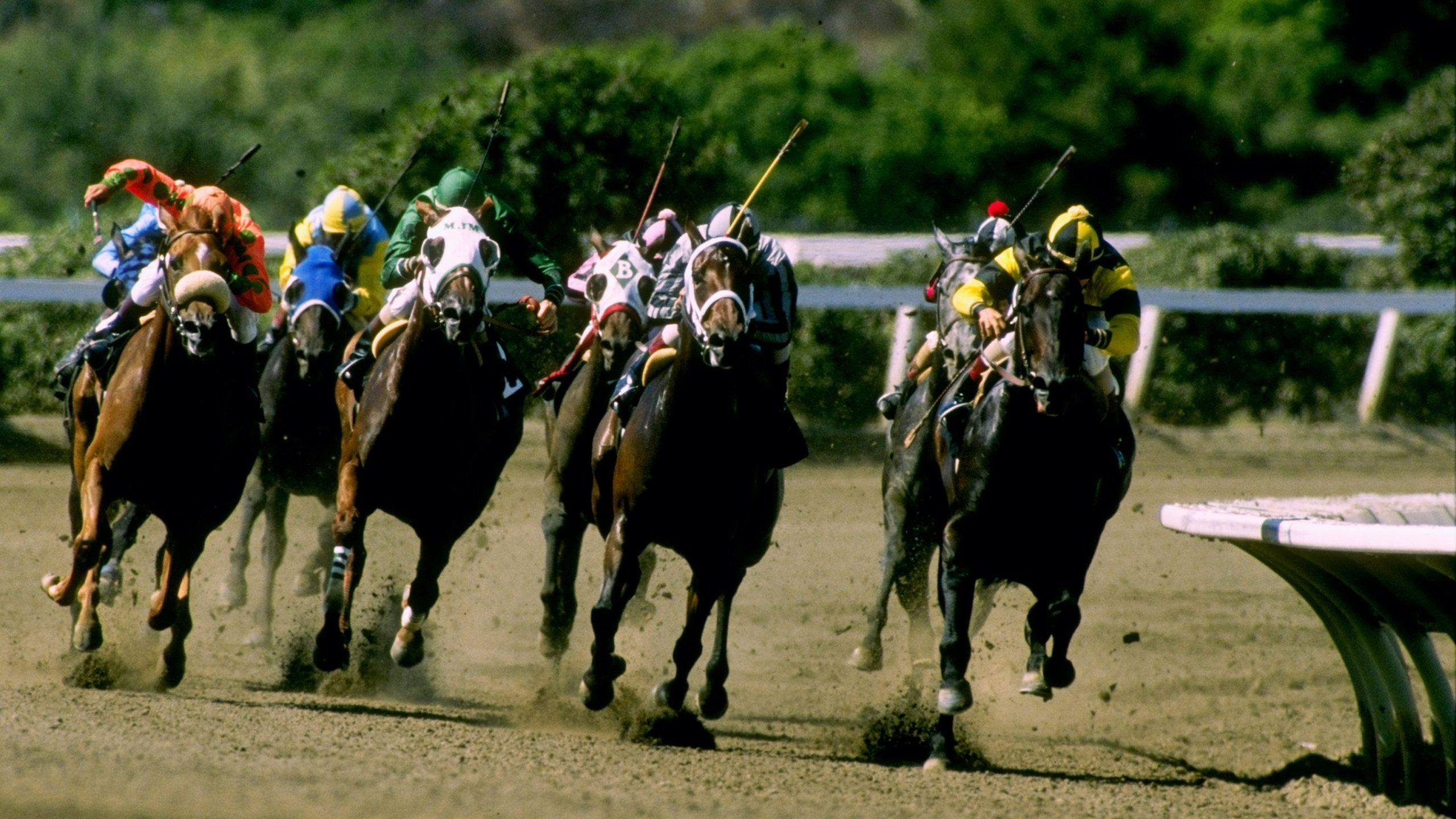 2560x1440 3rd Race Horse Dies During Training at Del Mar in 2 Weeks