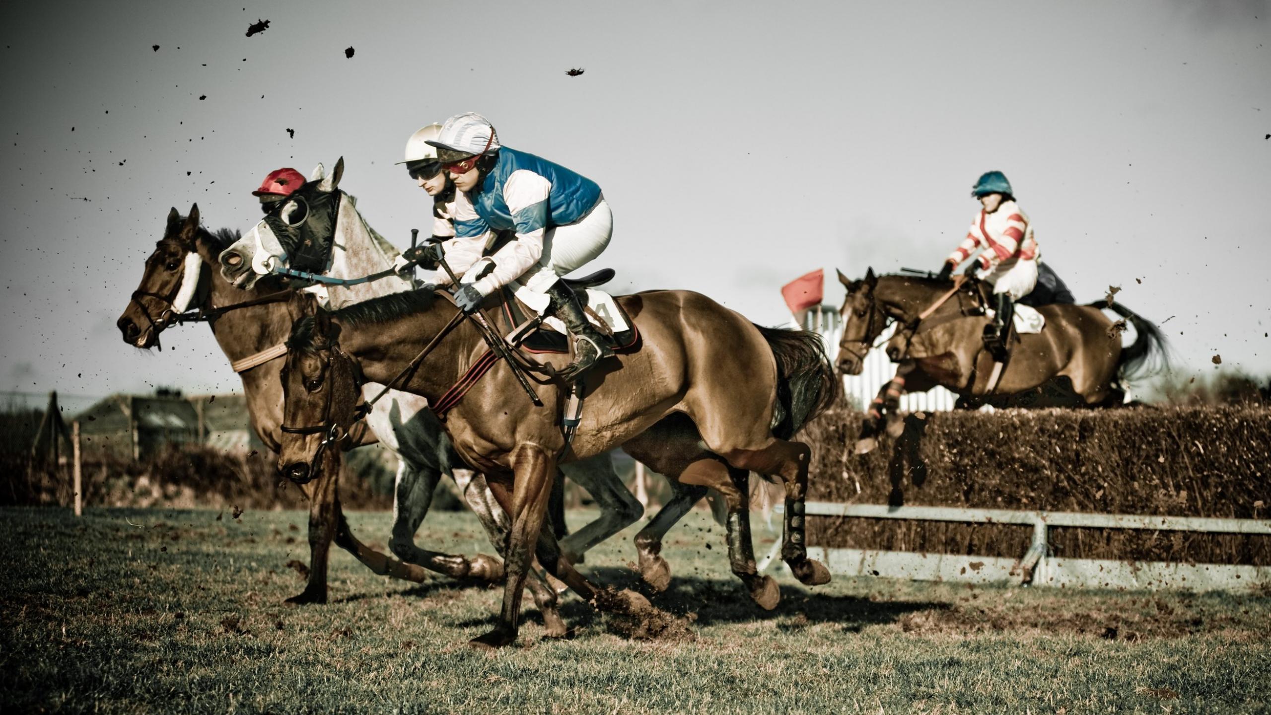 2560x1440 Horse Racing Wallpaper