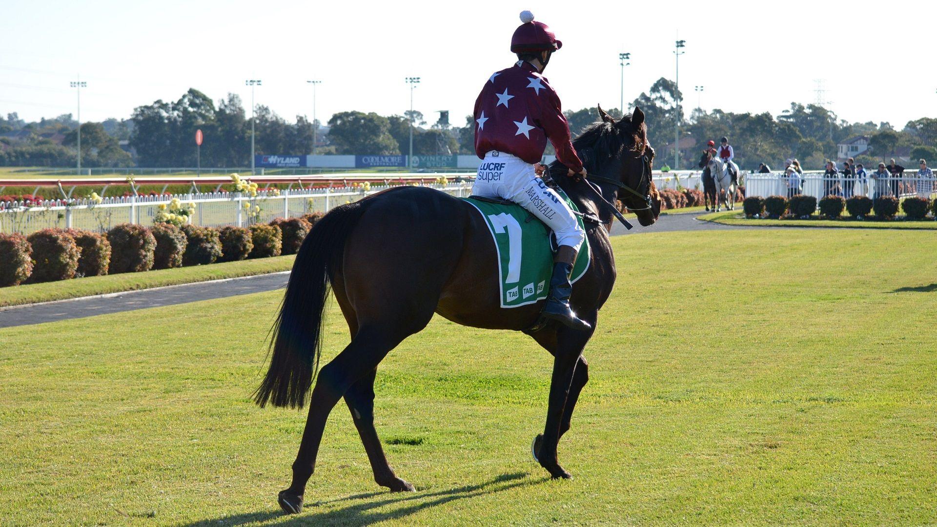 1920x1080 Horse Racing Wallpaper, Picture, Image