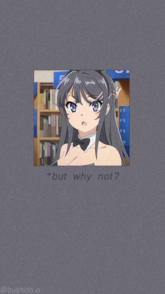 675x1200 Anime Edits • Instagram photo and videos. Bunny girl, Cute anime wallpaper, Cool anime picture