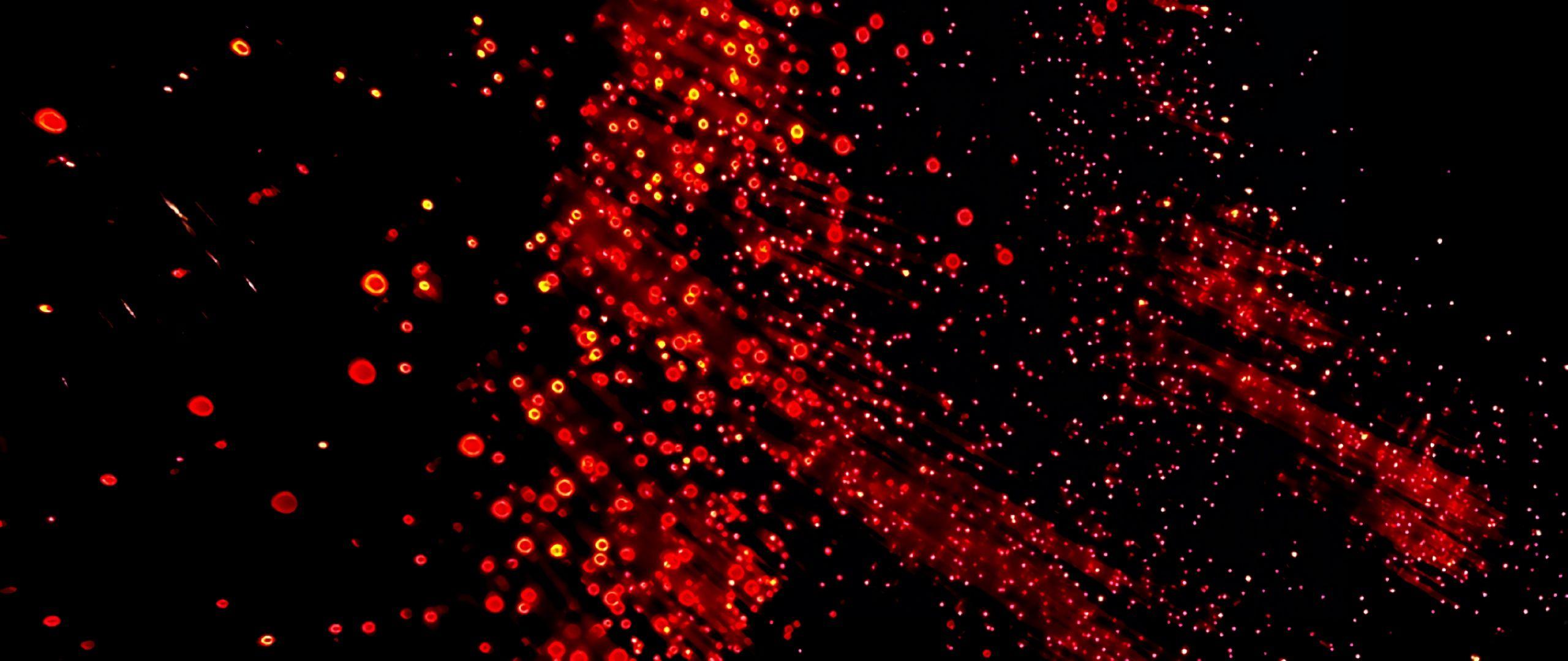 2560x1080 Wallpaper Shine, Circles, Optical Fiber, Spots, Red Background iPhone Xr Wallpaper & Background Download