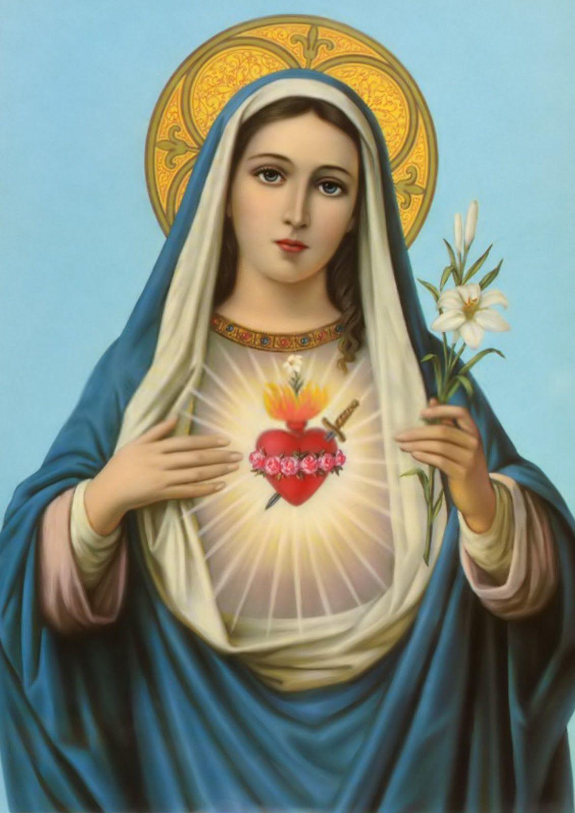 1131x1600 Hình nền Trái tim Vô nhiễm của Đức Mẹ Maria.  Hình nền Immaculate Conception, Hình nền Đức mẹ đồng trinh vô nhiễm và Trái tim vô nhiễm của Mary Hình nền https://wallpaperaccess.com/full/4876298.jpg