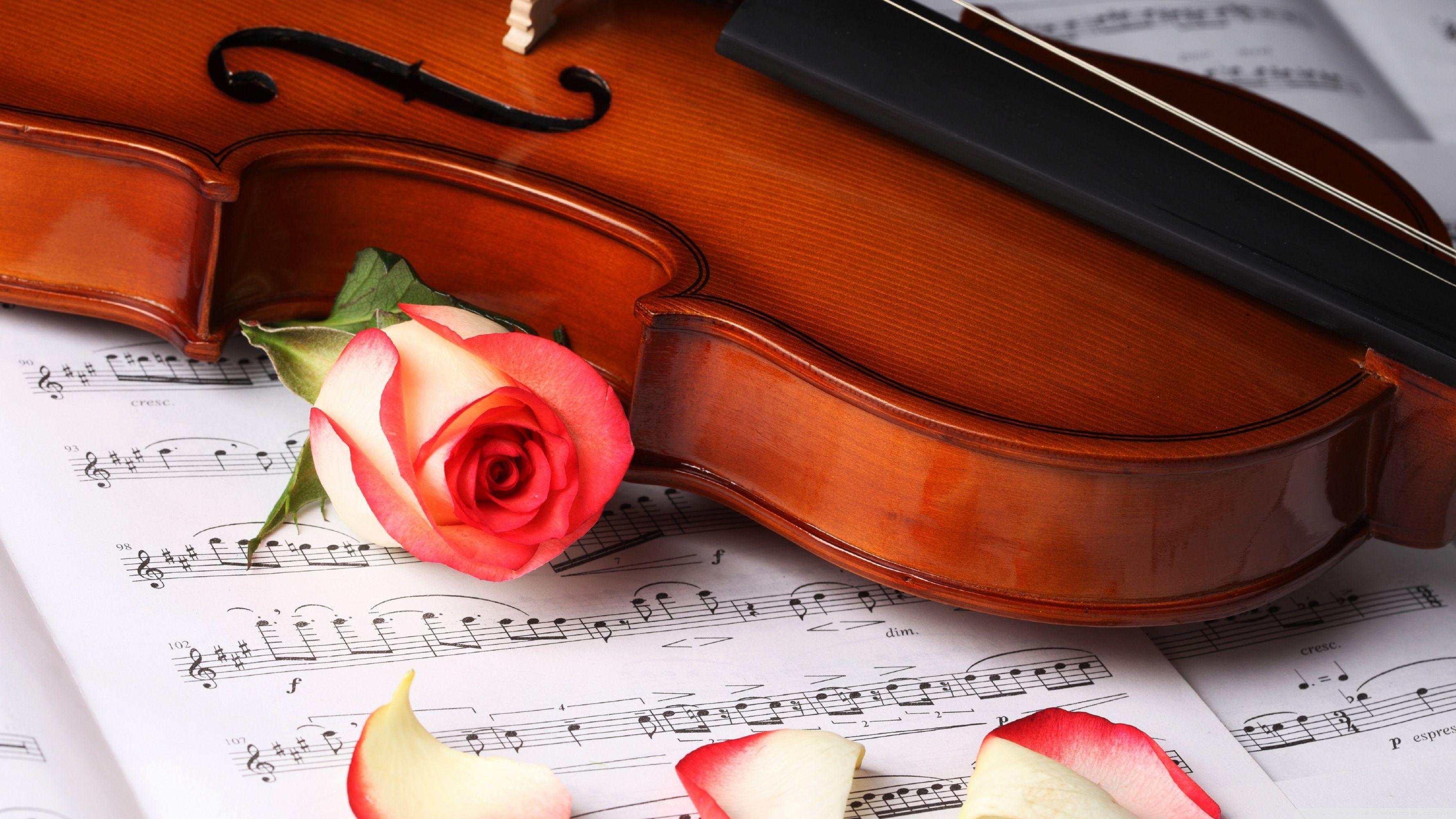 3554x1999 Classical Music Ultra HD Desktop Background Wallpaper for 4K UHD TV : Tablet