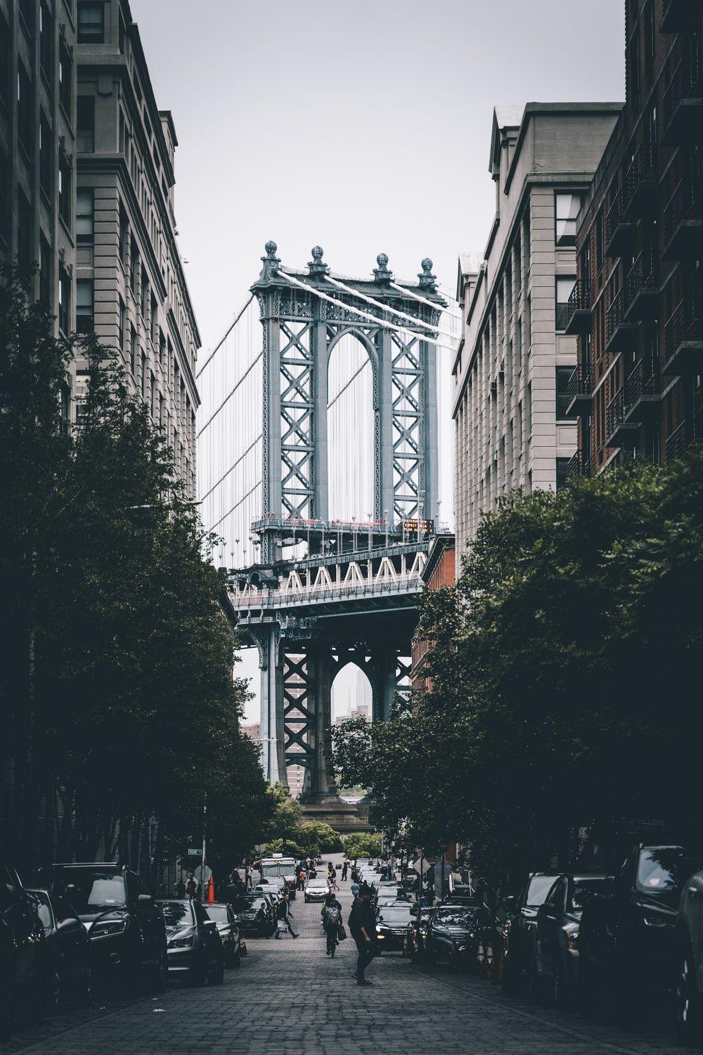 1000x1500 Dumbo Picture. Download Free Image