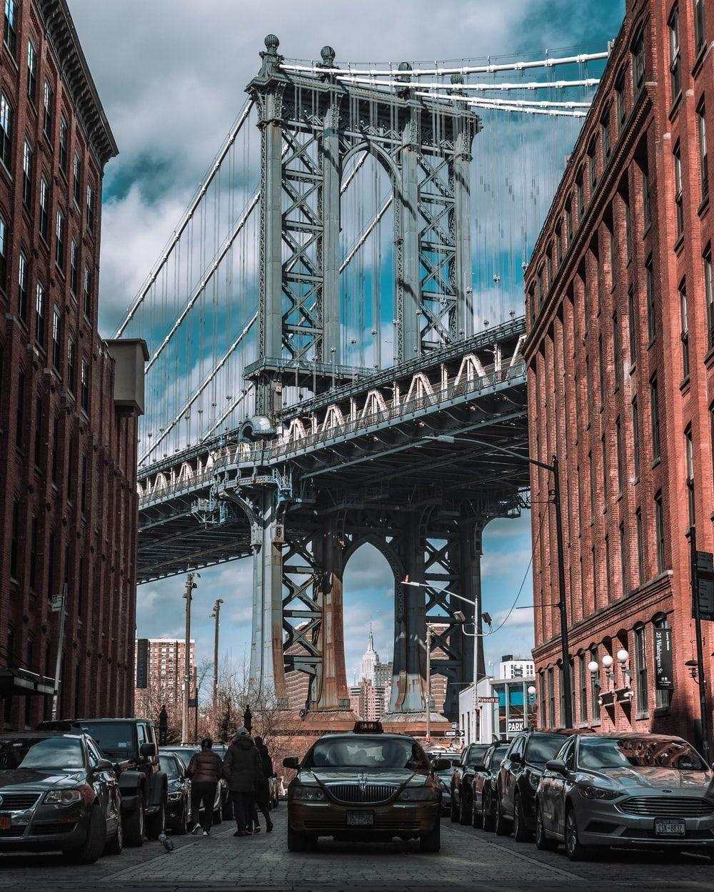1000x1250 Dumbo Picture. Download Free Image