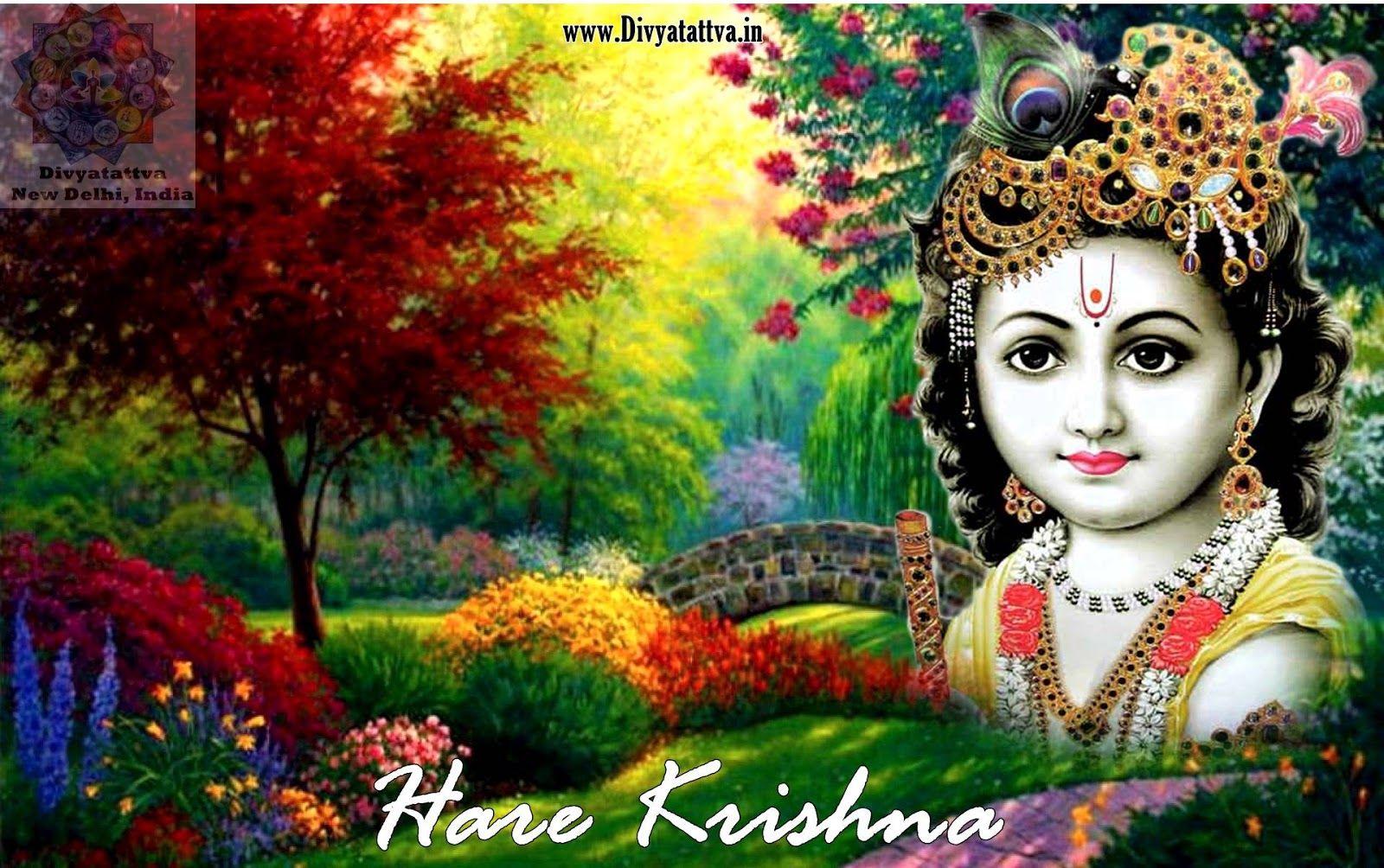 1600x1004 Baby Krishna Wallpaper Hd, Baby Krishna Wallpaper For Nature Computer Background