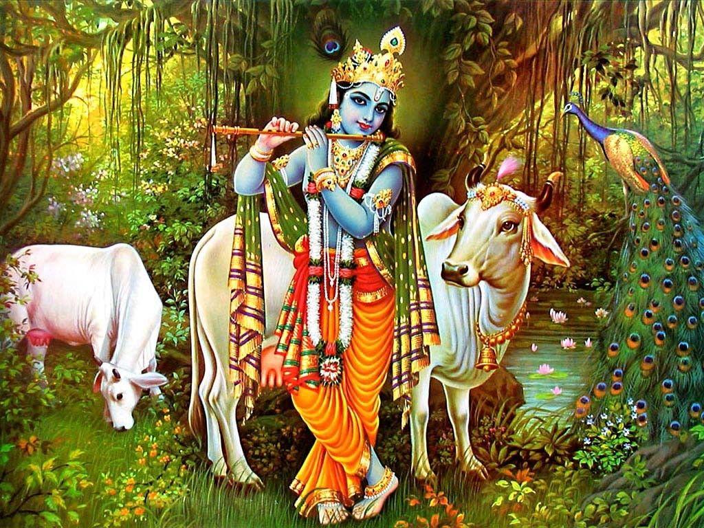 1024x768 Lord Krishna Beautiful HD Wallpaper