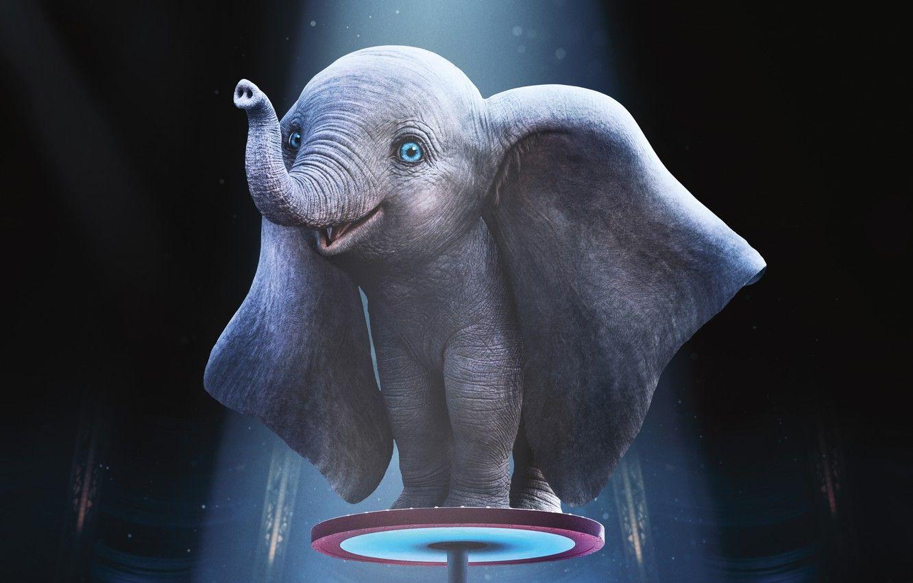 1332x850 Wallpaper the film, circus, Elephant, Movie, Dumbo, Dumbo, film - for desktop, section фильмы