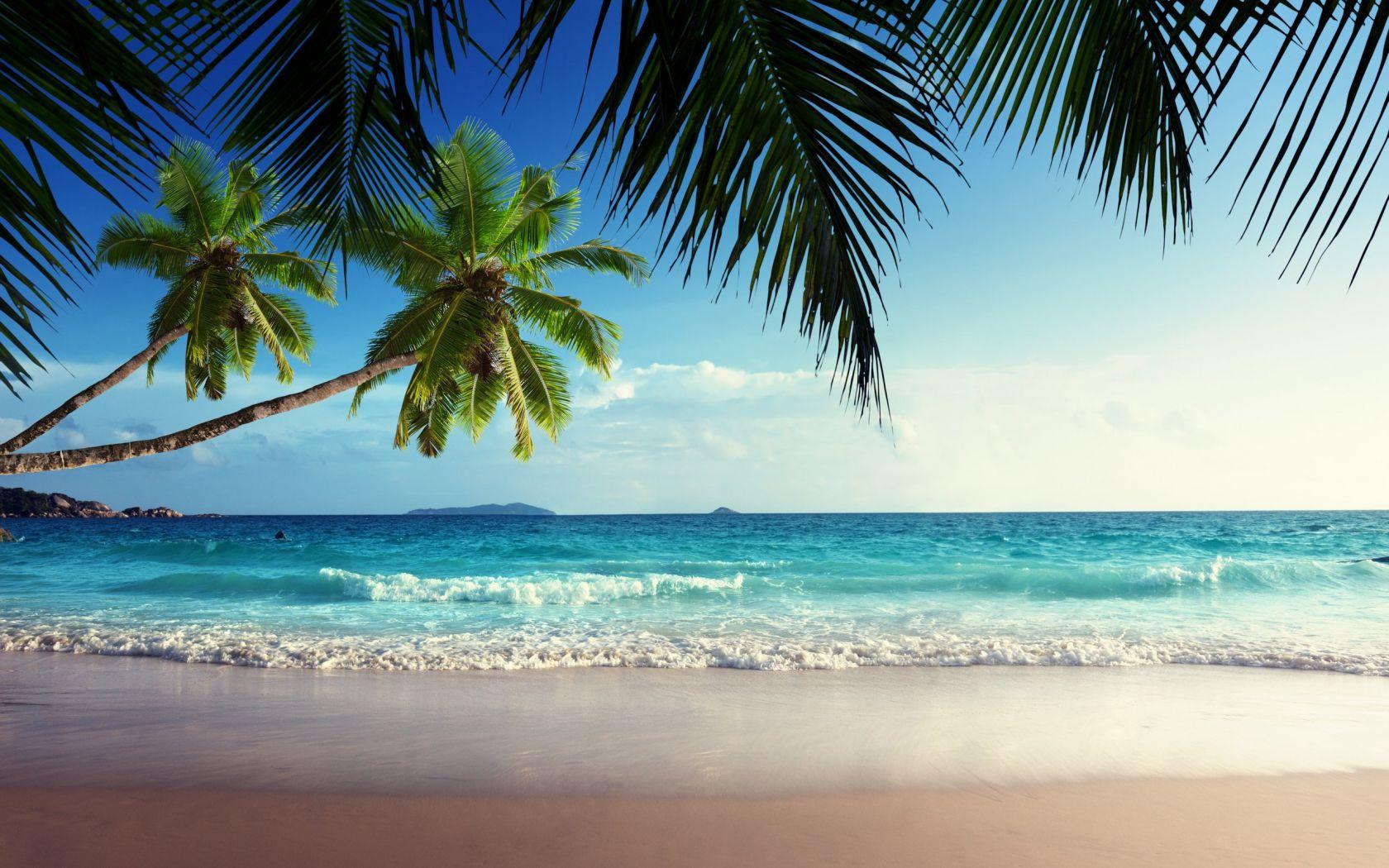 1680x1050 Free download Tropical Beach Paradise Sunset wallpaper [2560x1600] for your Desktop, Mobile & Tablet. Explore Free Tropical Beach Wallpaper. Free Beach Wallpaper For Desktop, Free Tropical Desktop Wallpaper, Tropical