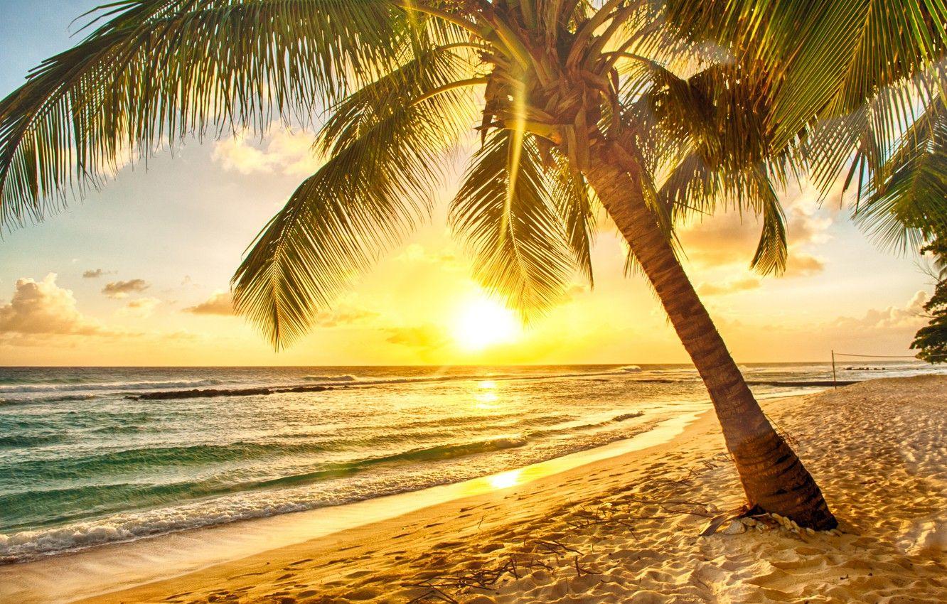 1332x850 Wallpaper sand, sea, beach, sunset .