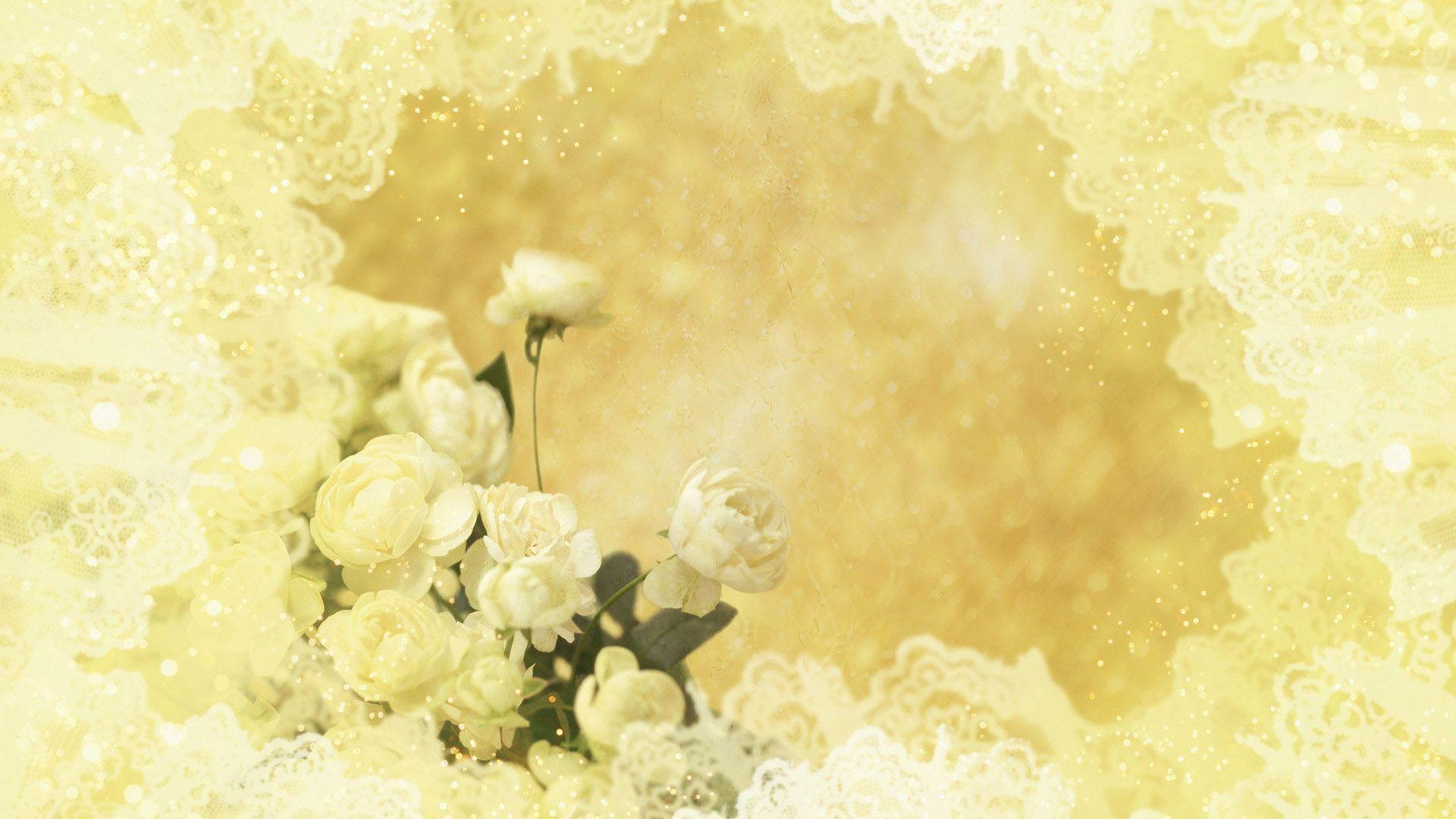 1920x1080 Yellow roses on yellow background wallpaper and image