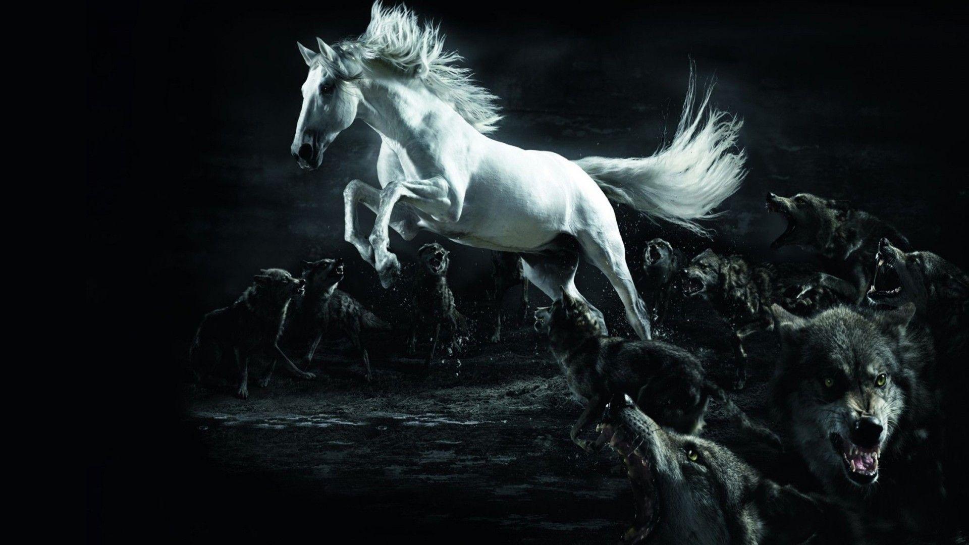 1920x1080 Ultra HD Wallpaper 1920x1080