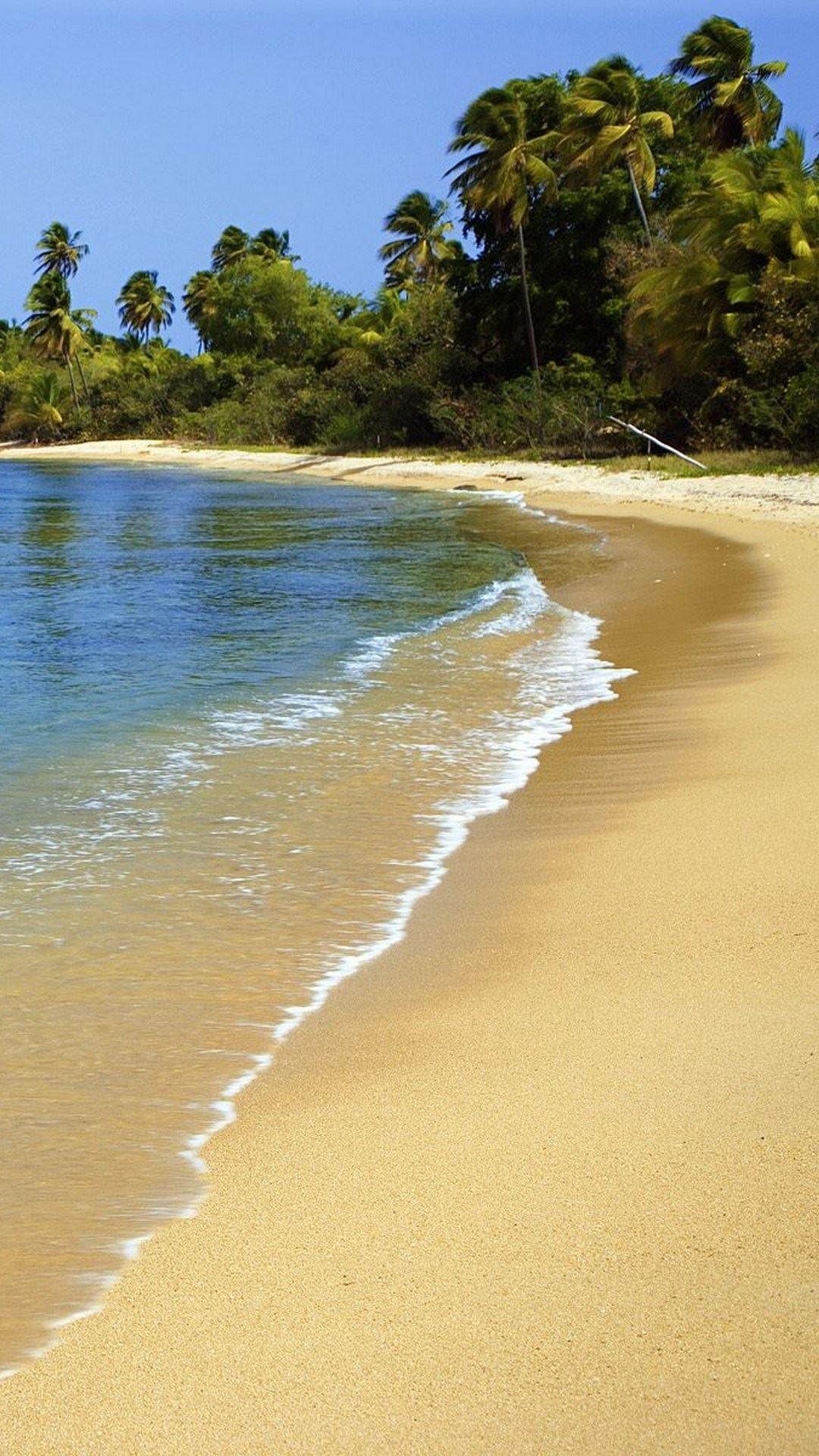 1080x1920 Puerto Rico Beach Sand Palm Trees Hình nền HD iPhone 6 Plus HD - Tải xuống miễn phí