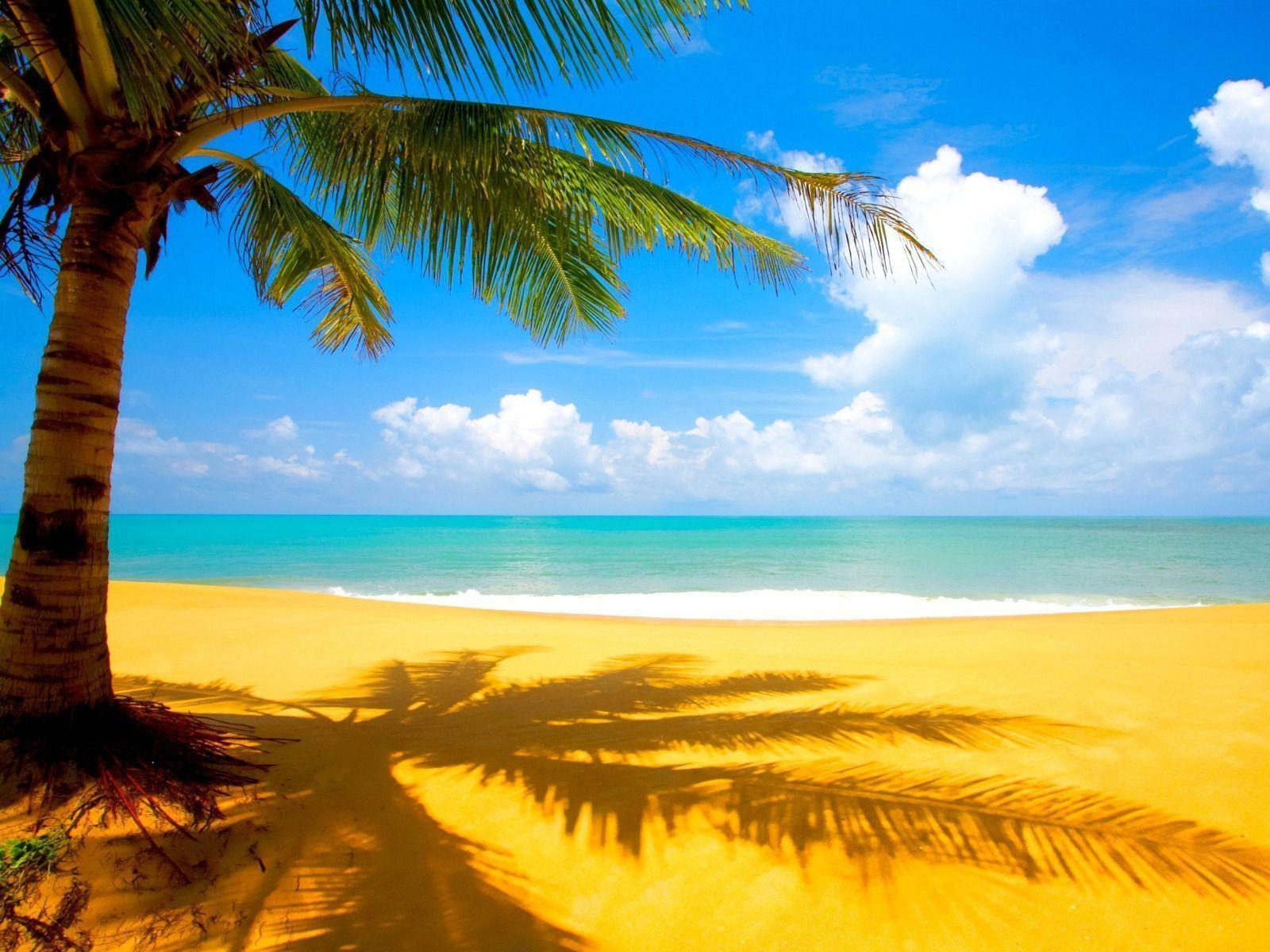 Puerto Rico Beach Wallpapers Top Free Puerto Rico Beach Backgrounds Wallpaperaccess