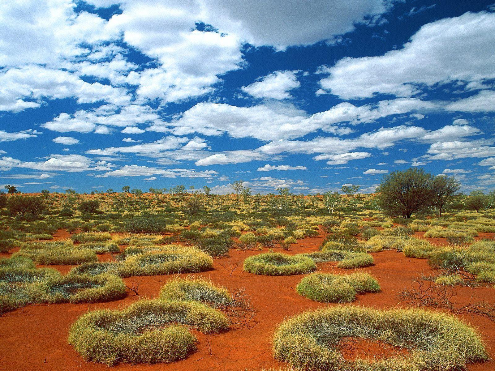1600x1200 World_Australia_Australian_Nature_007488_ (1600×1200). Australia wallpaper, Australian desert, Australia travel
