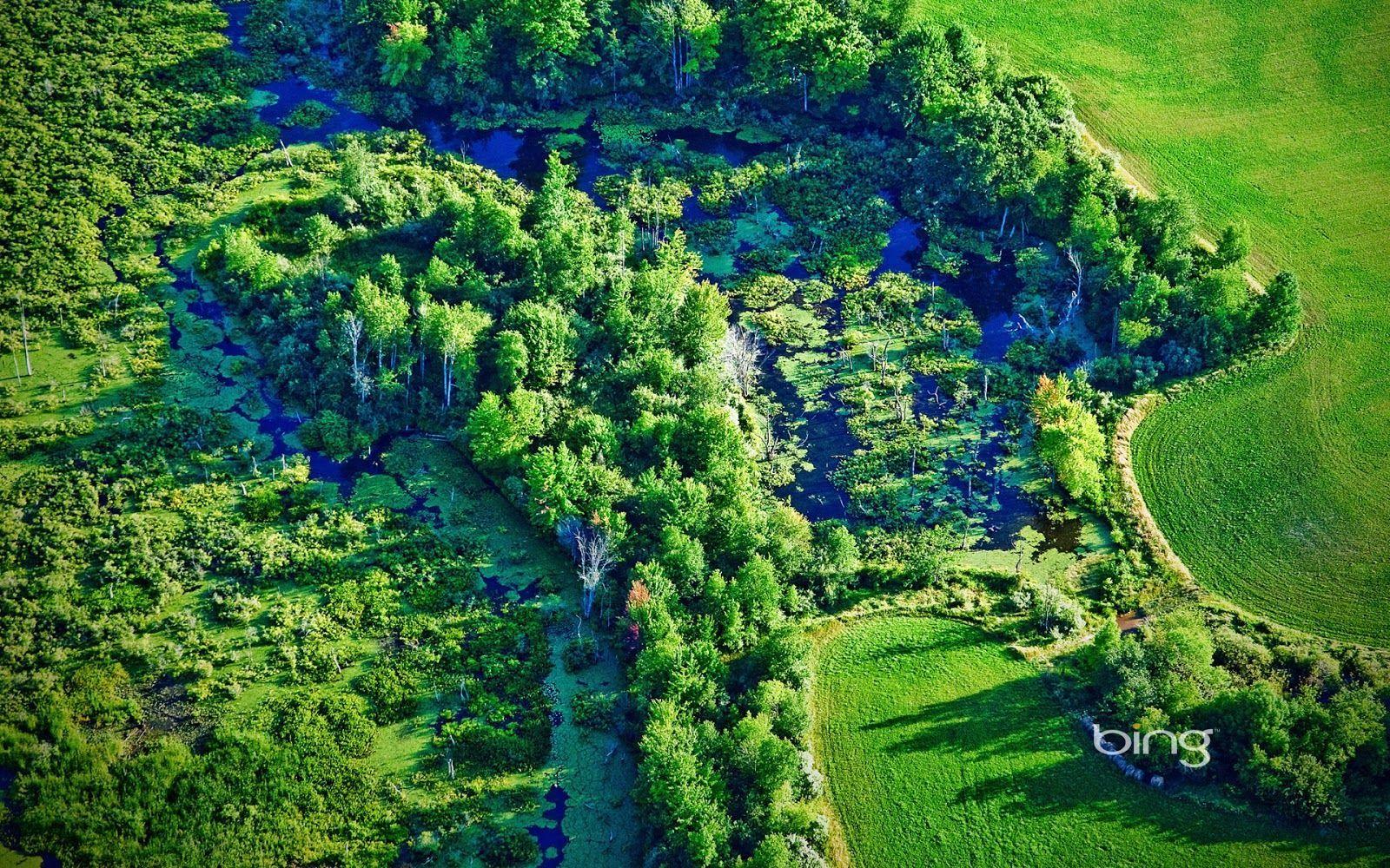 Bing Daily Wallpapers - Top Free Bing Daily Backgrounds - WallpaperAccess