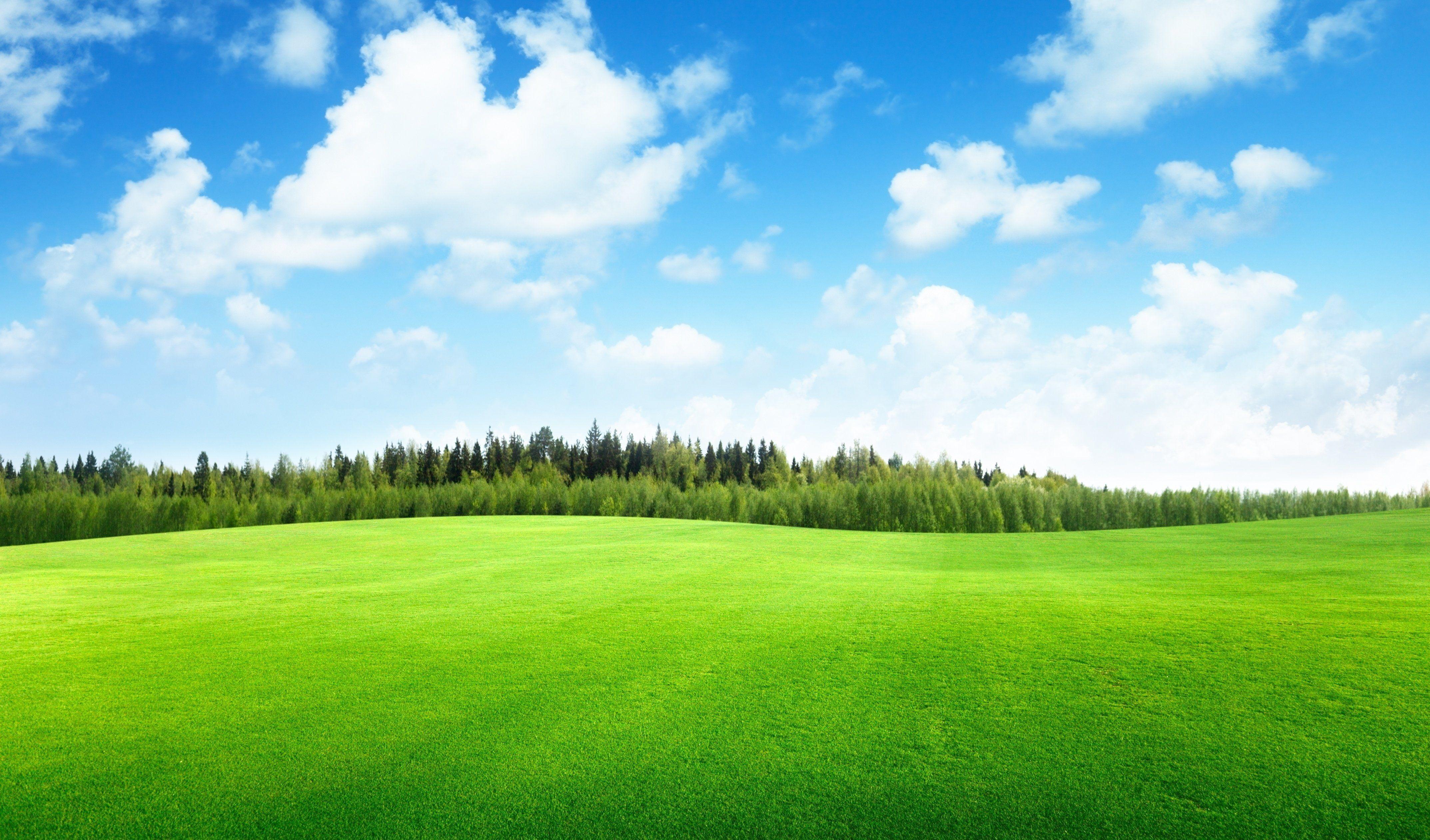 4293x2522 beautiful #clouds #field #grass #landscape #nature #sky #trees K # wallpaper #hdwallpaper #deskto. Landscape picture, Landscape wallpaper, HD nature wallpaper