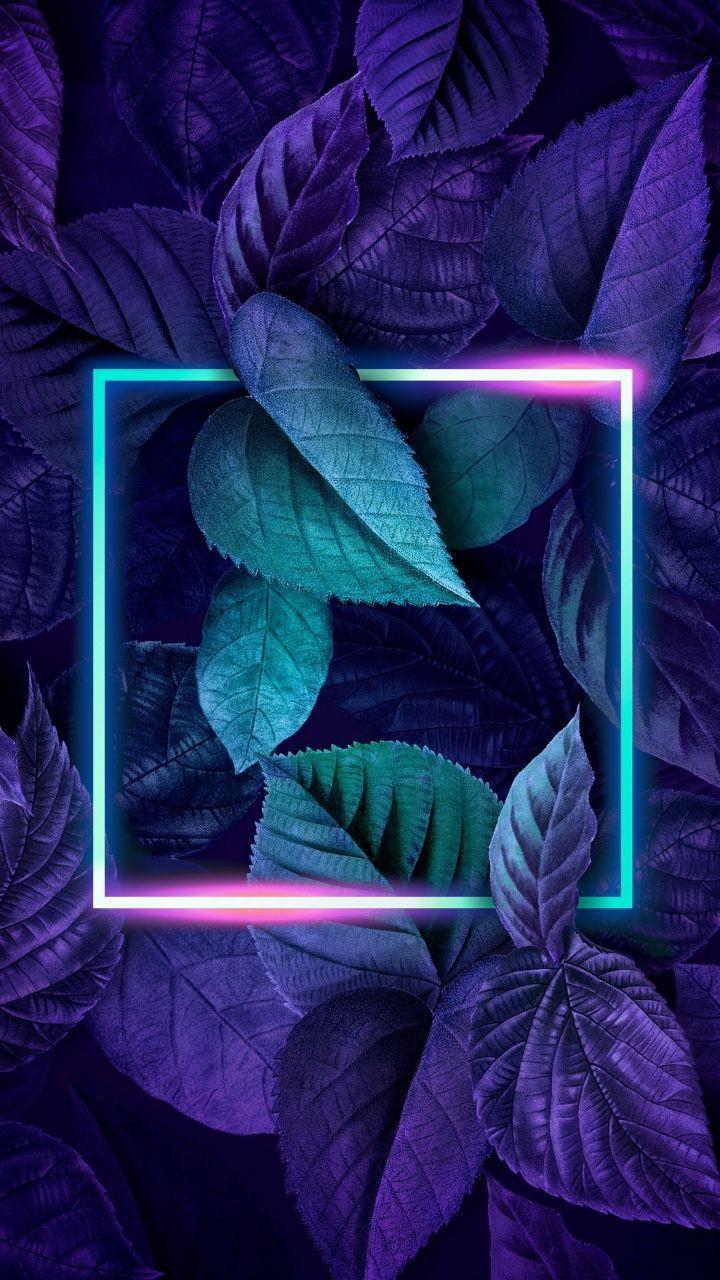 720x1280 Những chiếc lá màu tím năm 2020. Ảnh hình nền iPhone, Hình nền neon, Hình nền iphone thẩm mỹ