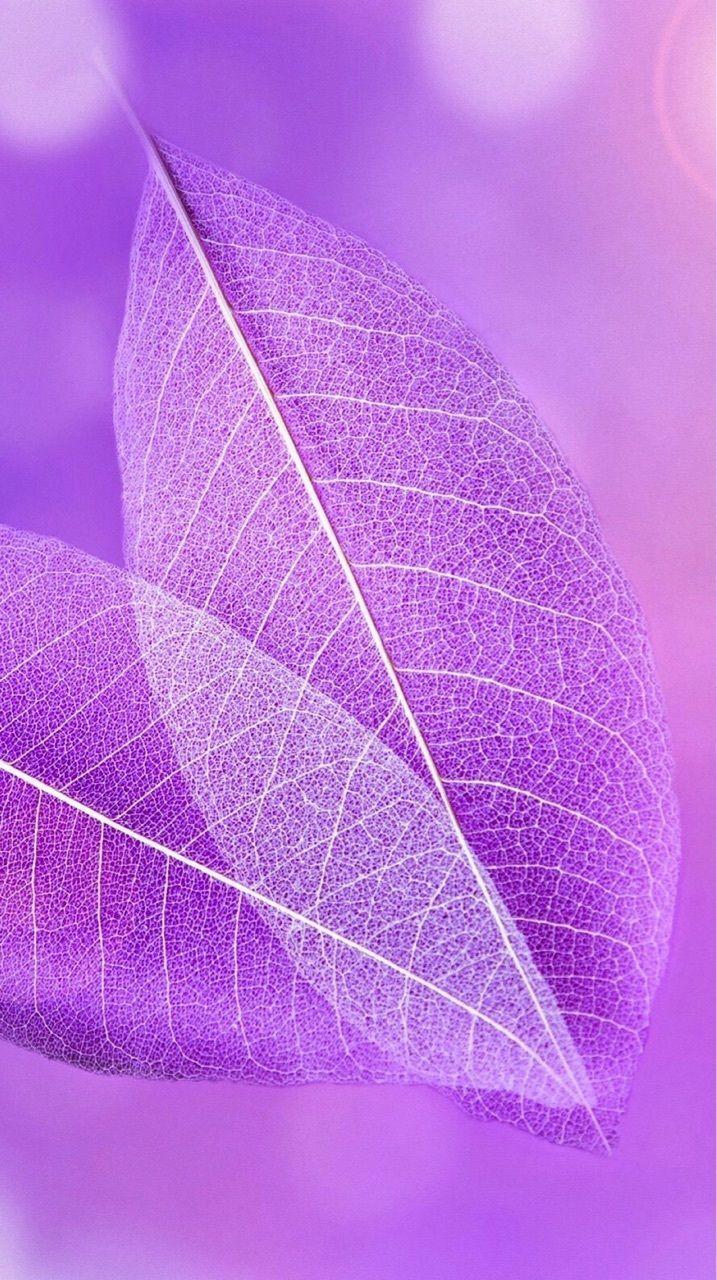 717x1280 Background & Wallpaper. Leaves wallpaper iphone, Pretty wallpaper, Purple wallpaper