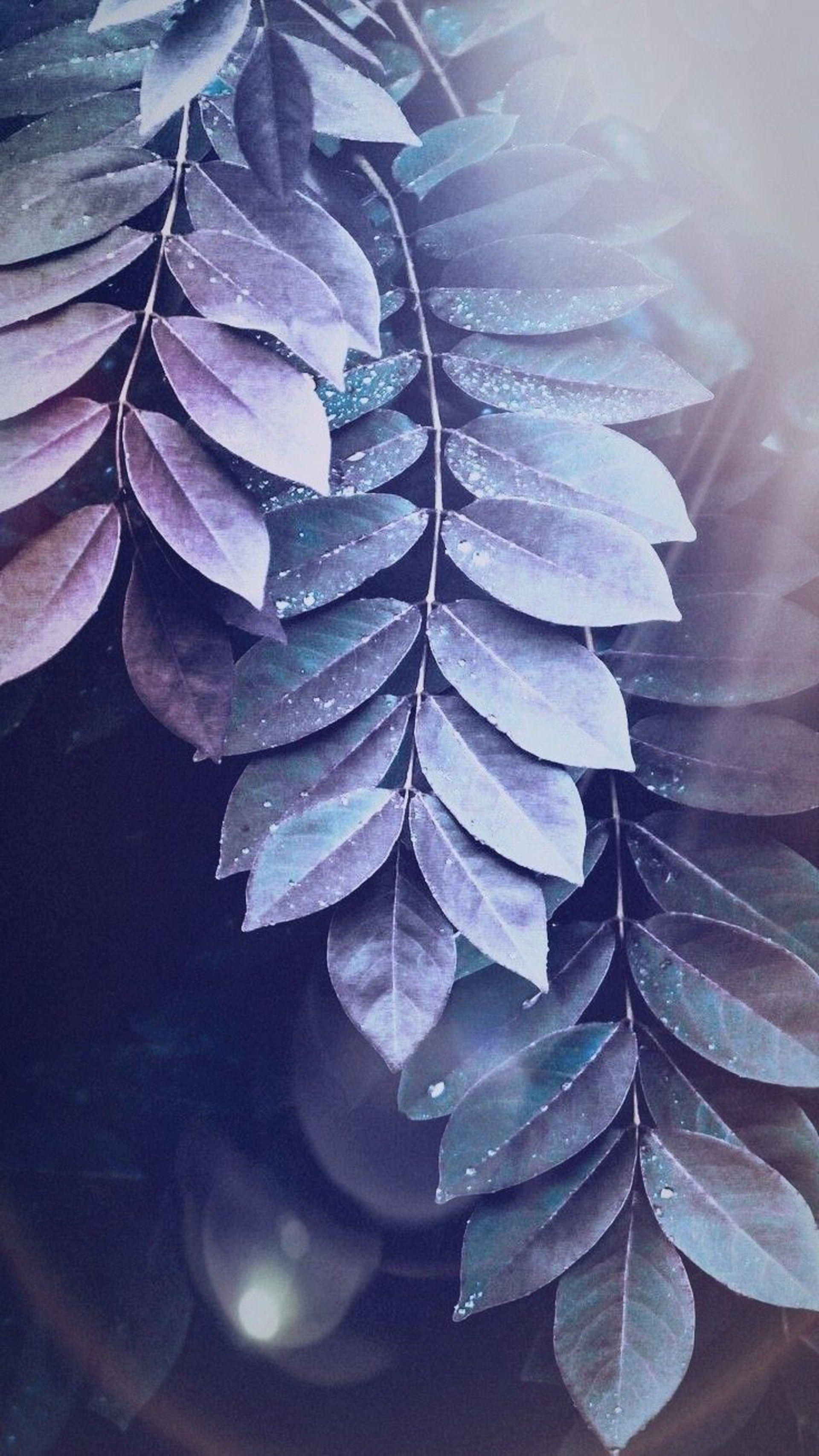 1920x3412 Purple Leaves. Pretty wallpaper, Photography wallpaper, Pretty wallpaper iphone