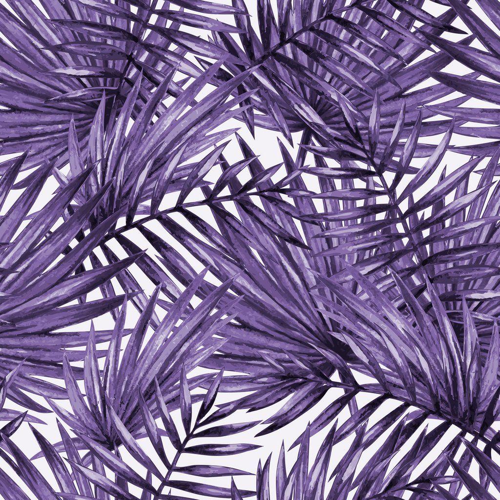 1024x1024 Violet Wallpaper