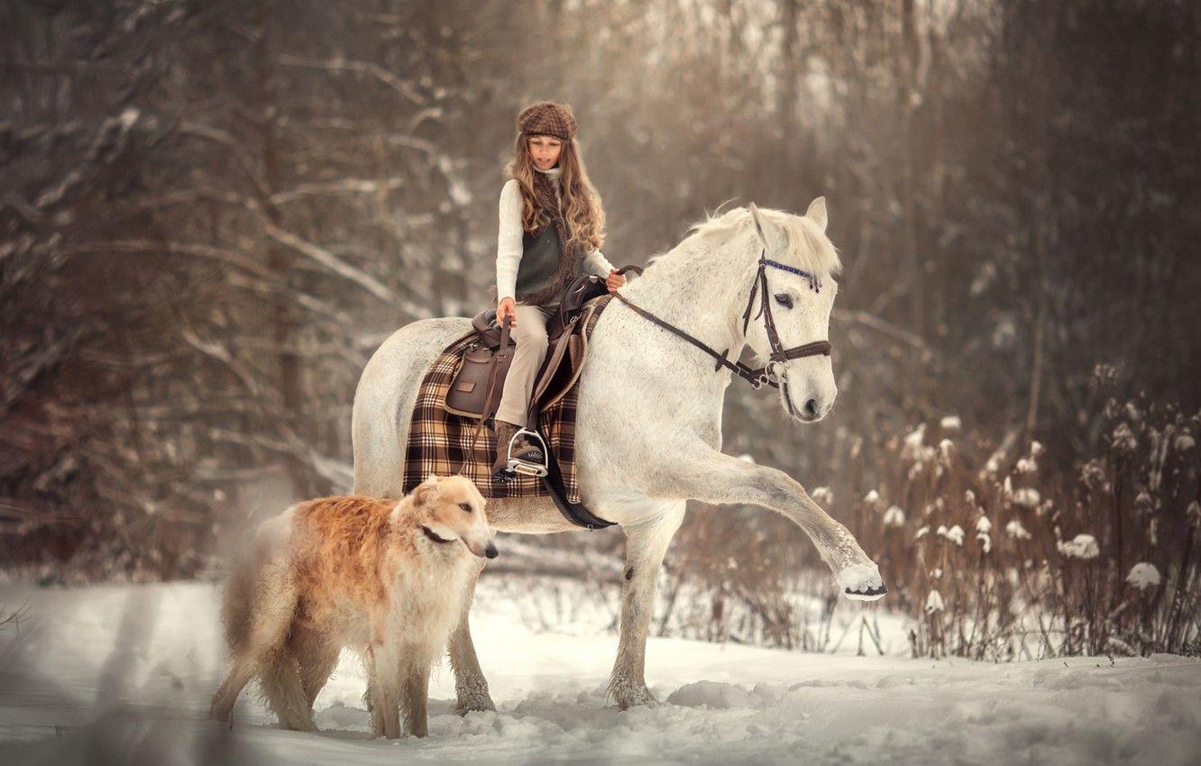 1332x850 Wallpaper winter, snow, horse, dog, girl, rider image for desktop, section стиль