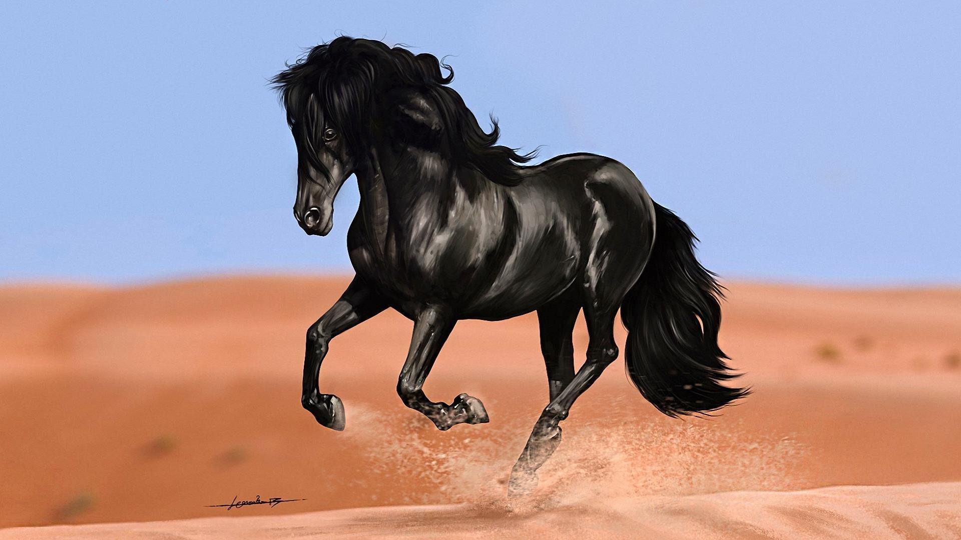 1920x1080 Get Inspired For Wallpaper HD Horse Download wallpaper
