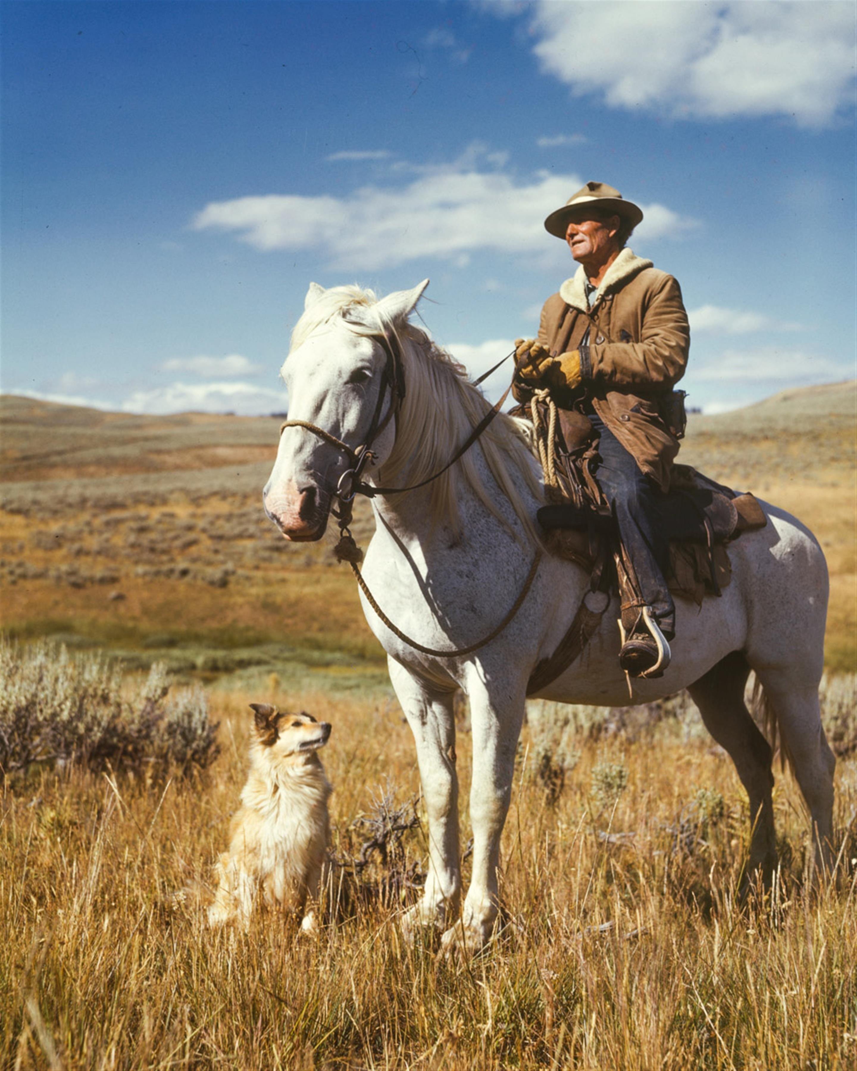2880x3600 Man Riding a Horse With Dog