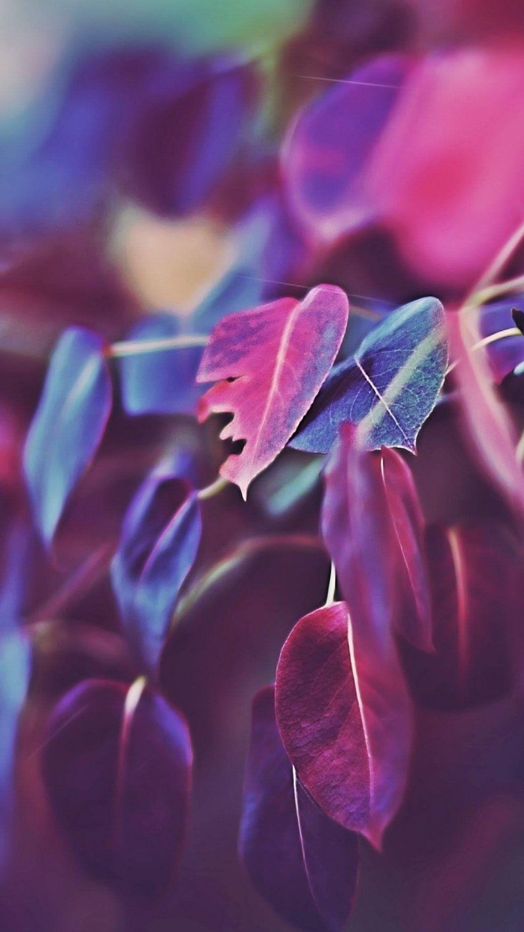 1080x1920 Purple Autumn Leaves. Android Wallpaper. Flower bokeh, iPhone 5s wallpaper, Nature iphone wallpaper