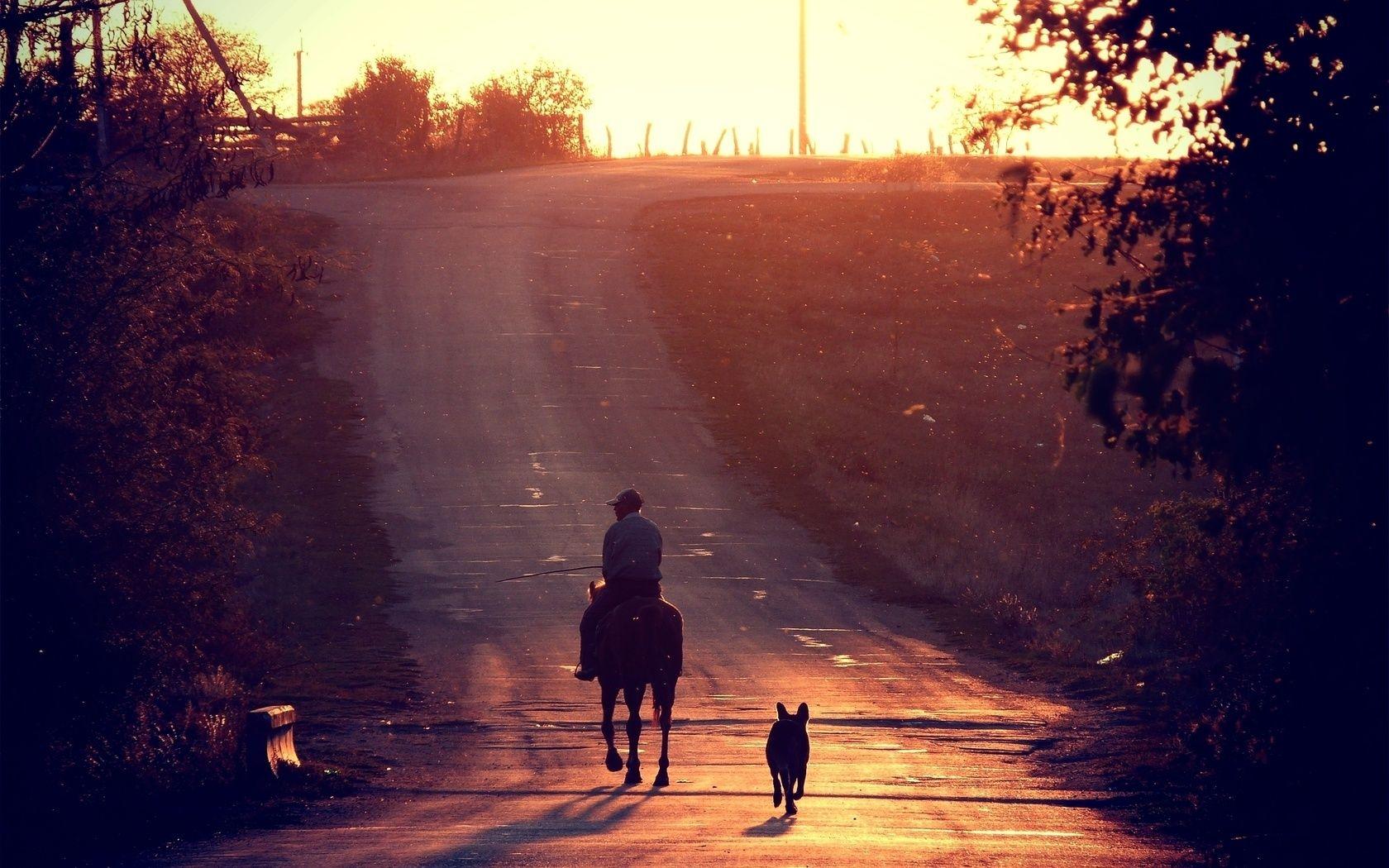 1680x1050 Wallpaper. Love. photo. picture. dog, sunset, horse, road