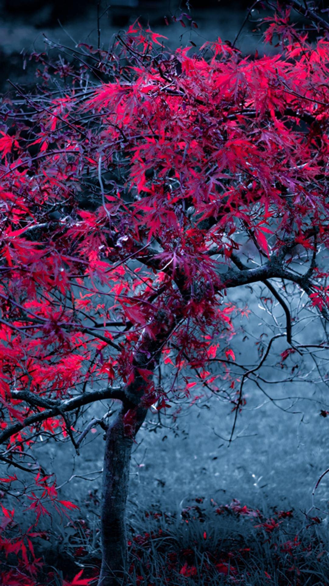 Purple Leaves Wallpapers - Top Free Purple Leaves Backgrounds ...