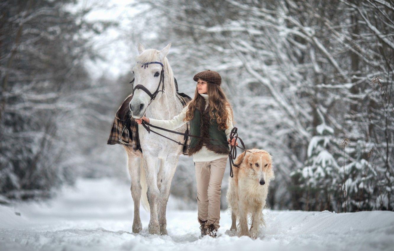1332x850 Wallpaper winter, snow, horse, dog, girl image for desktop, section стиль
