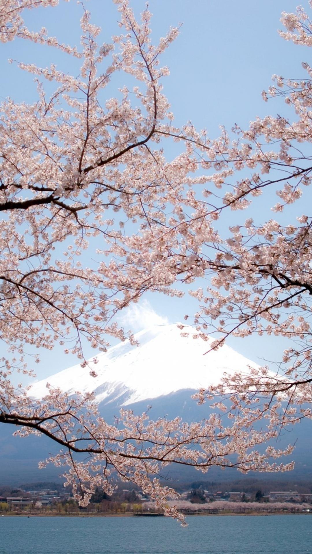 1080x1920 Japan nature mount fuji wallpaper