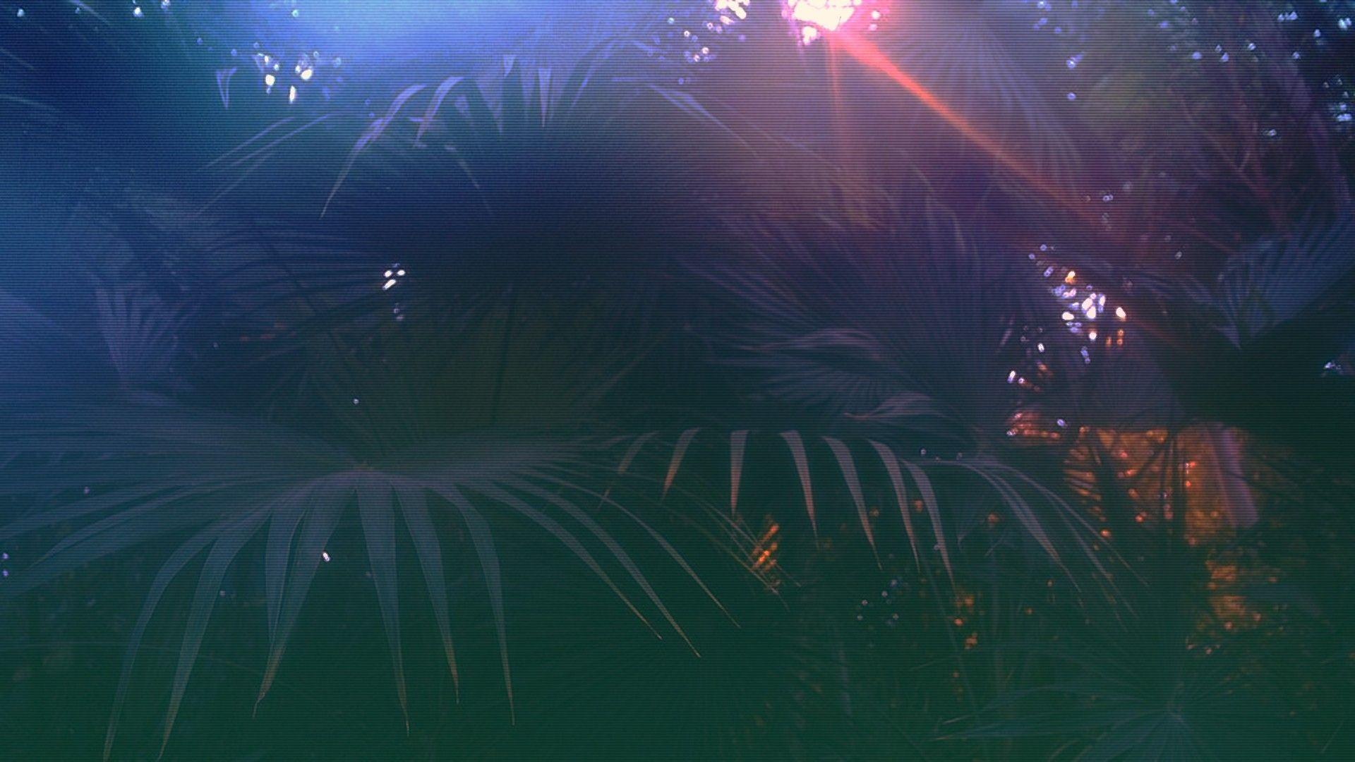 1920x1080 Vaporwave Glitch Art Plants Wallpaper:1920x1080