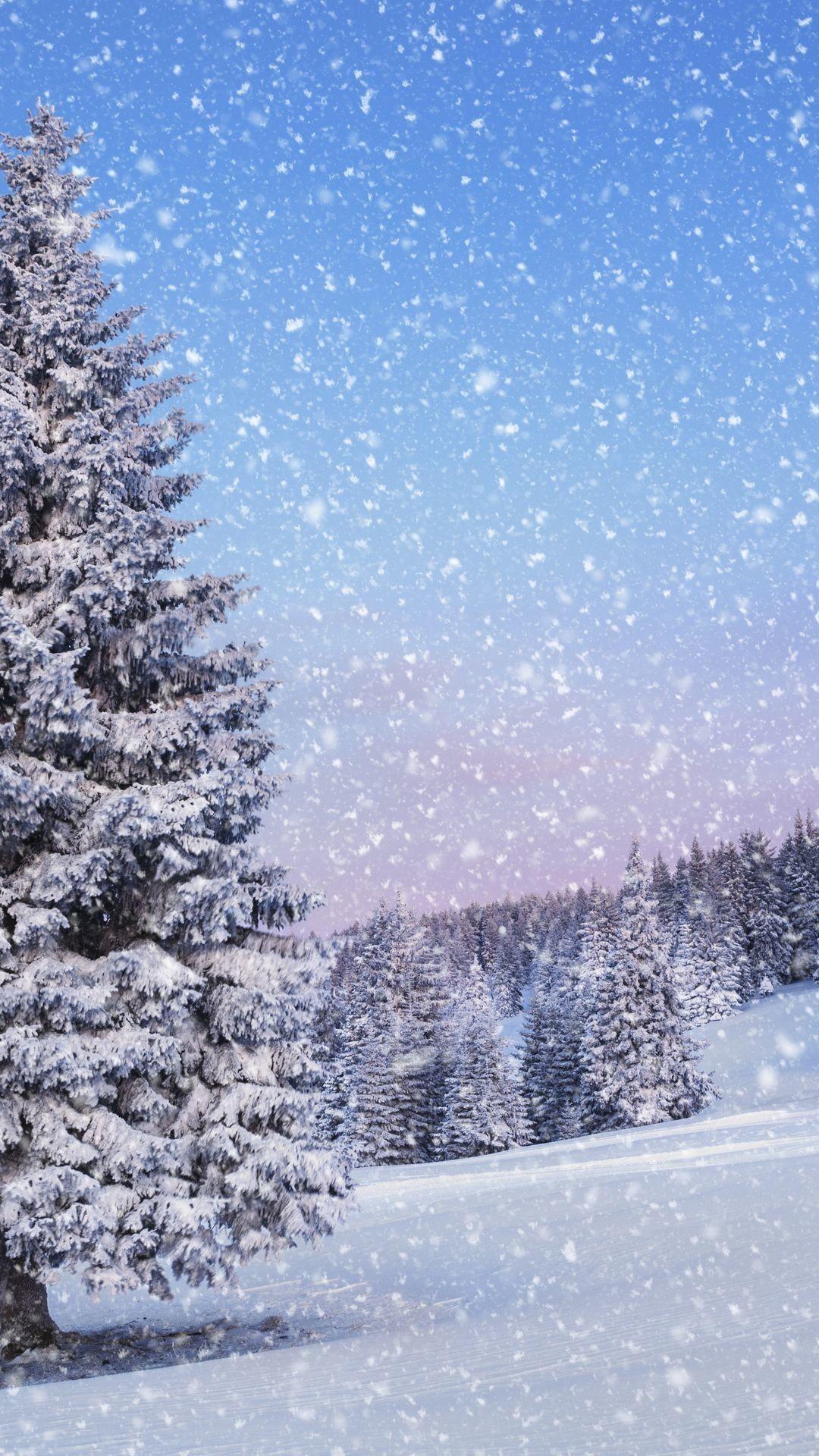 1080x1920 Winter Wallpaper Vertical