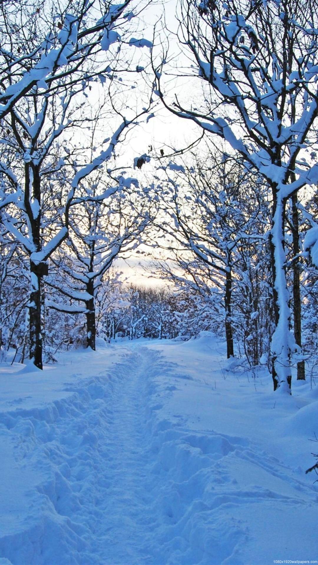 1080x1920 Winter Wallpaper HD