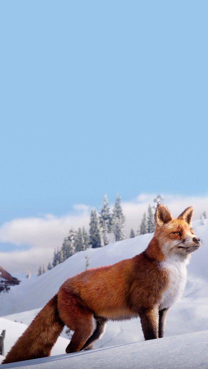 675x1200 Lochlan Miller's some more vertical wallpaper I've made for all you RDR2 lovers! #RedDeadRedemption #RedDeadRedemption2 #RockstarGames #PSBlog #PS4Share #VirtualPhotography