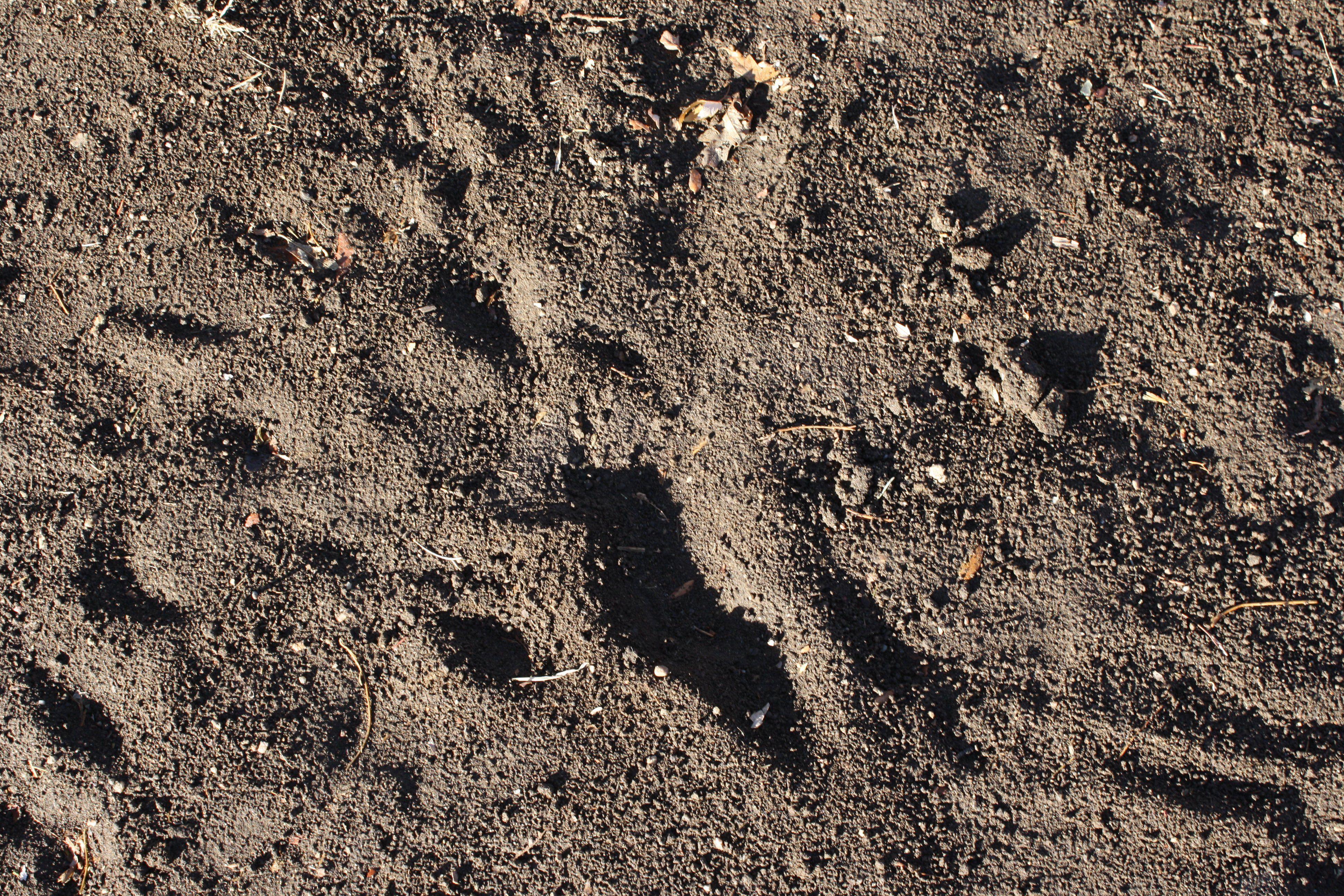 3888x2592 Dirt Texture Picture. Free Photograph. Photo Public Domain