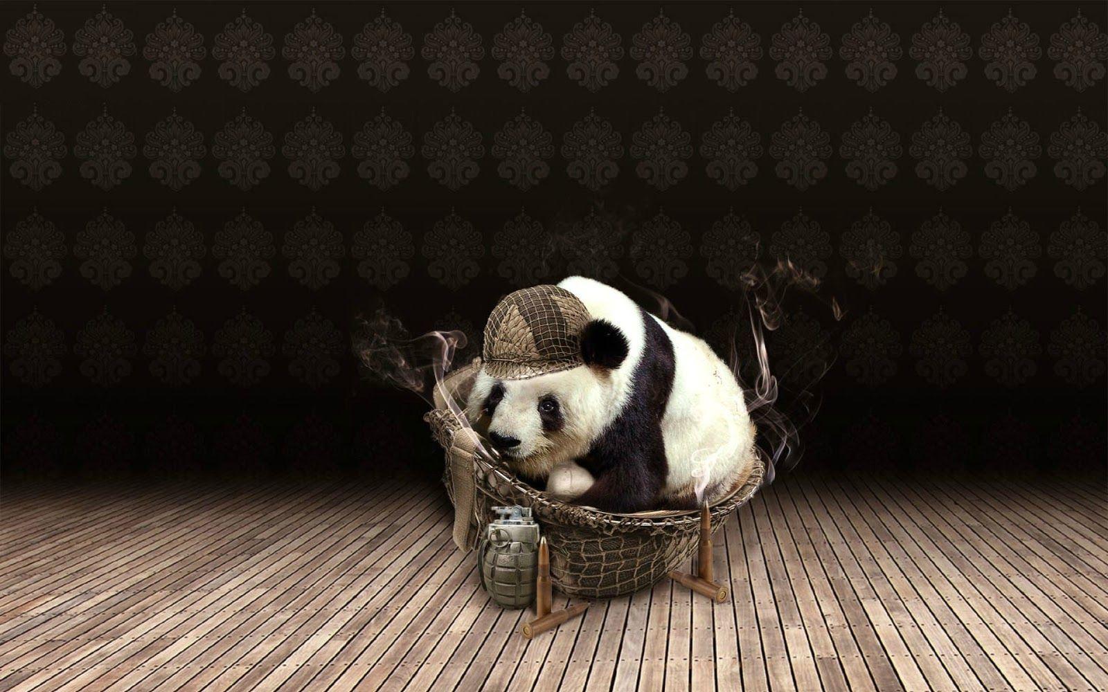 1600x1000 4K Panda Wallpaper HD For Deskp (2020)