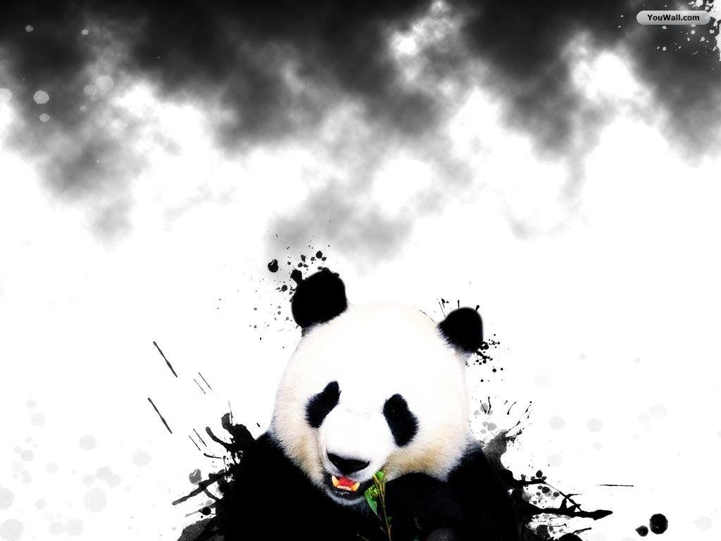 1024x768 Awesome Panda Wallpaper HD Black Background Photo