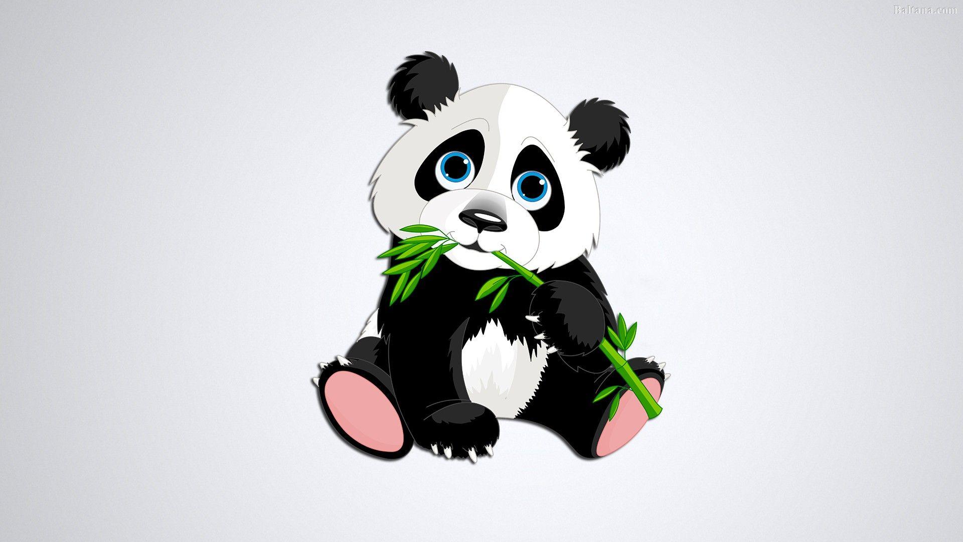 1920x1080 Panda HD Wallpaper