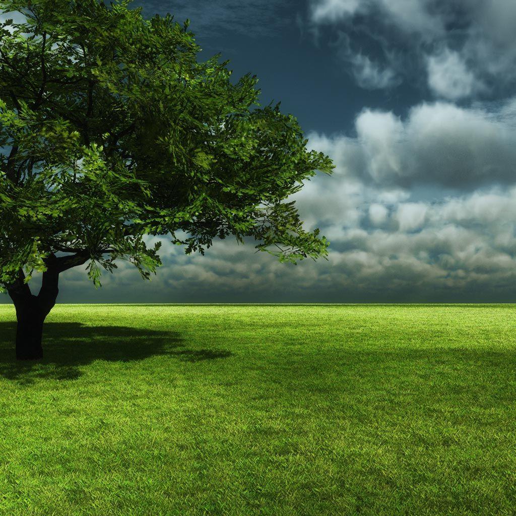 1024x1024 Green Nature iPad Wallpaper, Background and Theme